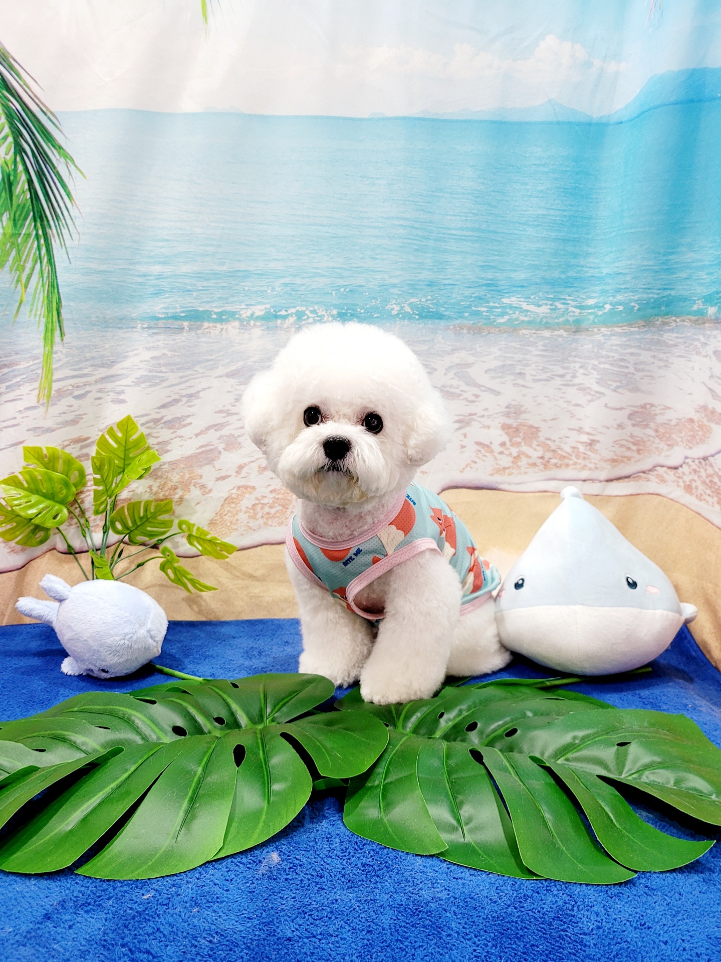 블링멍 대표 이미지