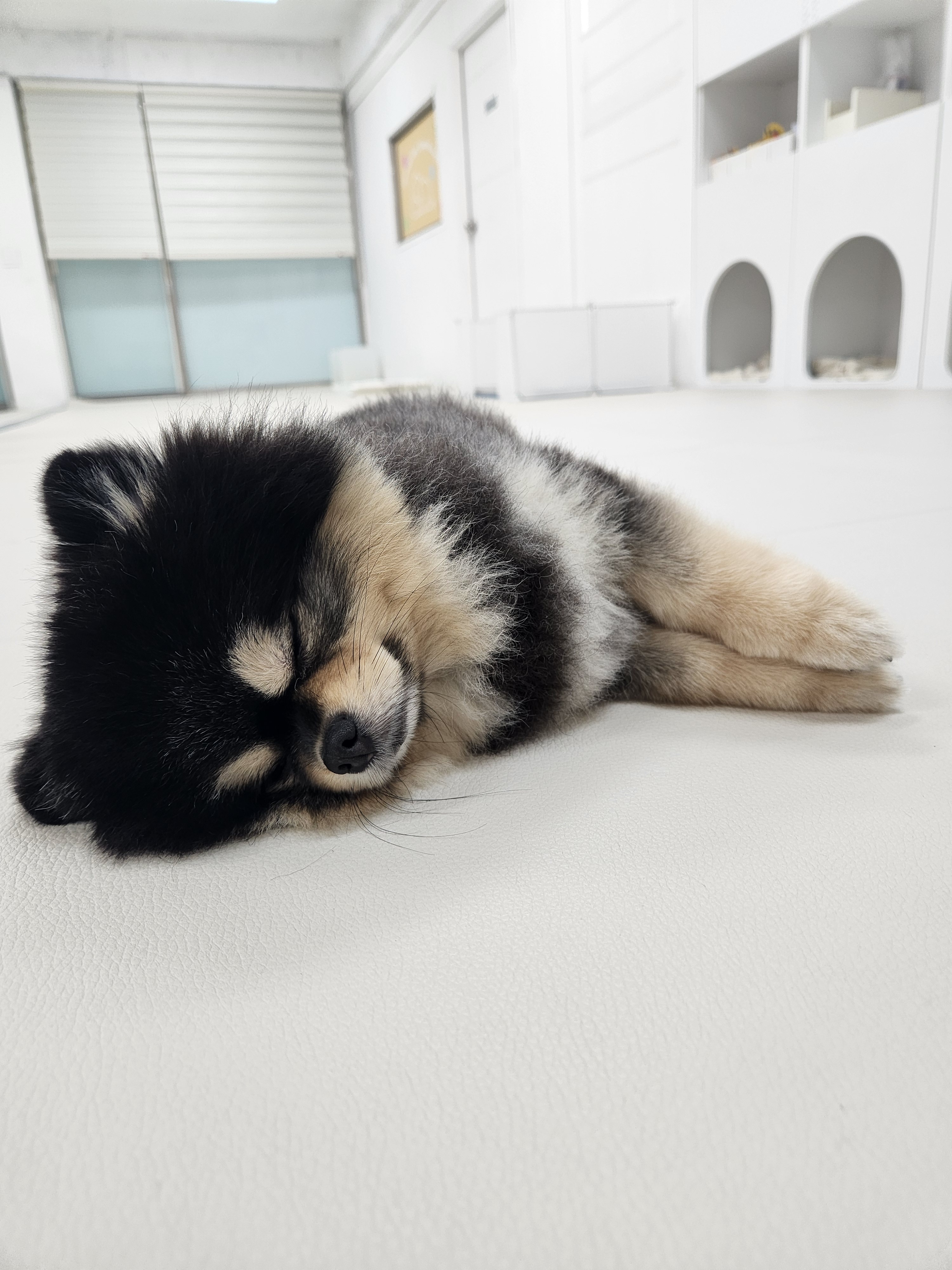 디어코코 대표 이미지