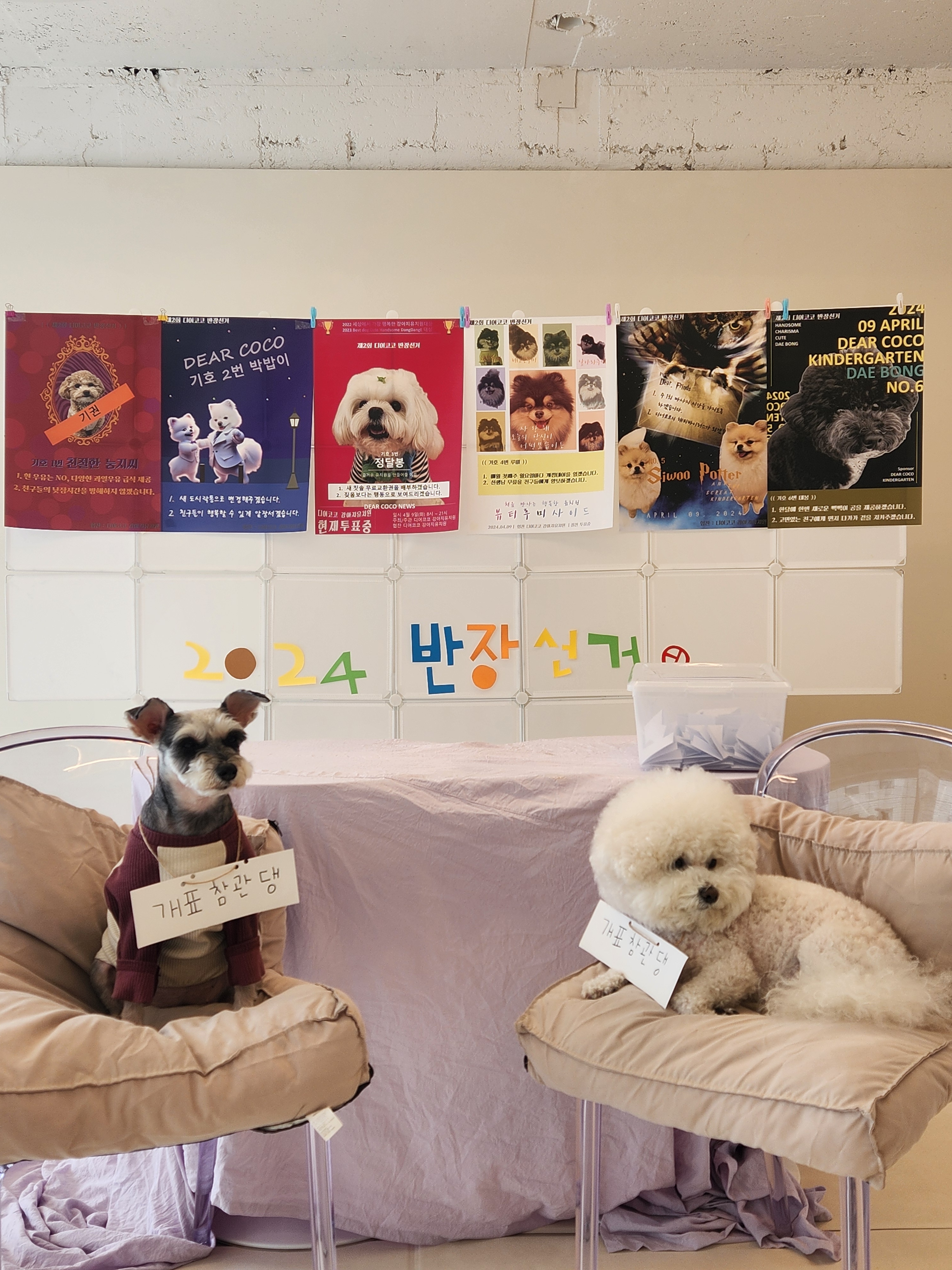 디어코코 강아지유치원 대표 이미지