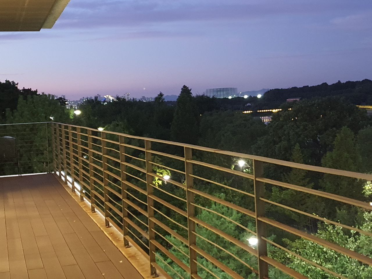 카페엔젤 전라 애견맛집