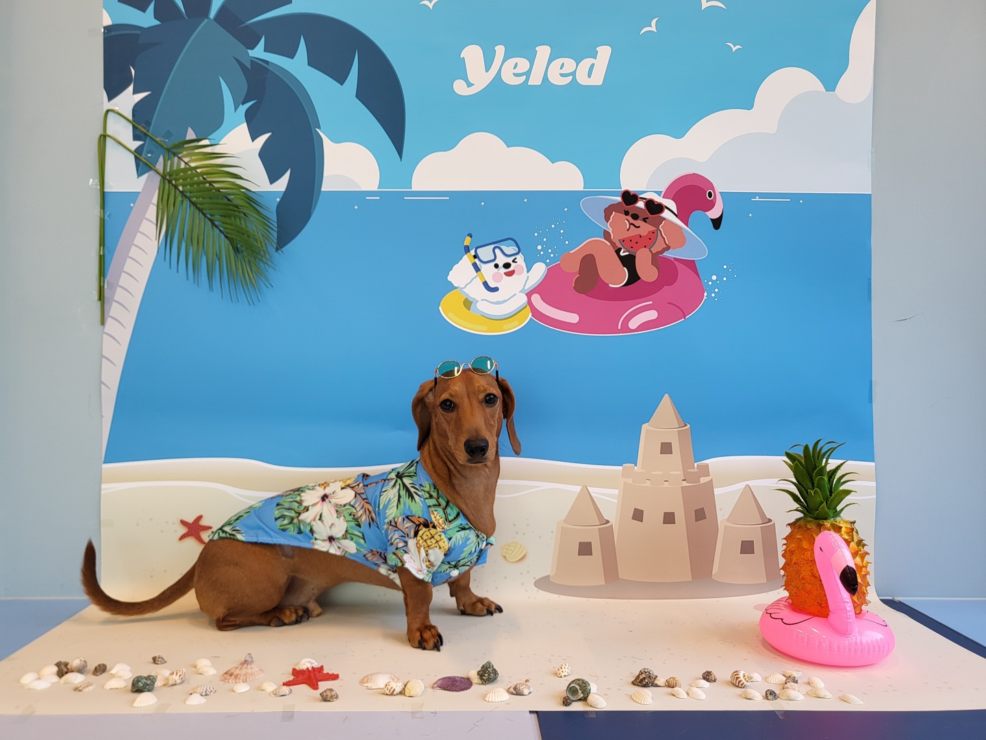 옐레드 대표 이미지