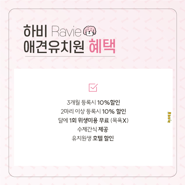 하비애견호텔유치원 대표 이미지