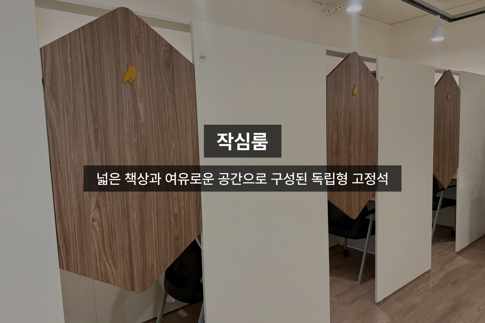 업체사진