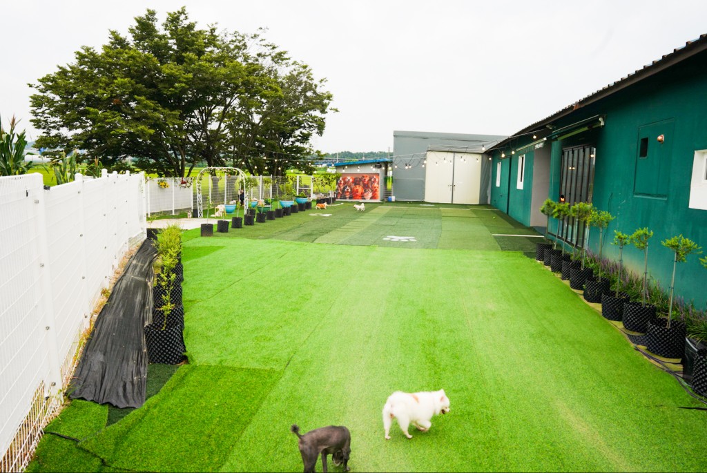 펫플러스라이프 대표 이미지