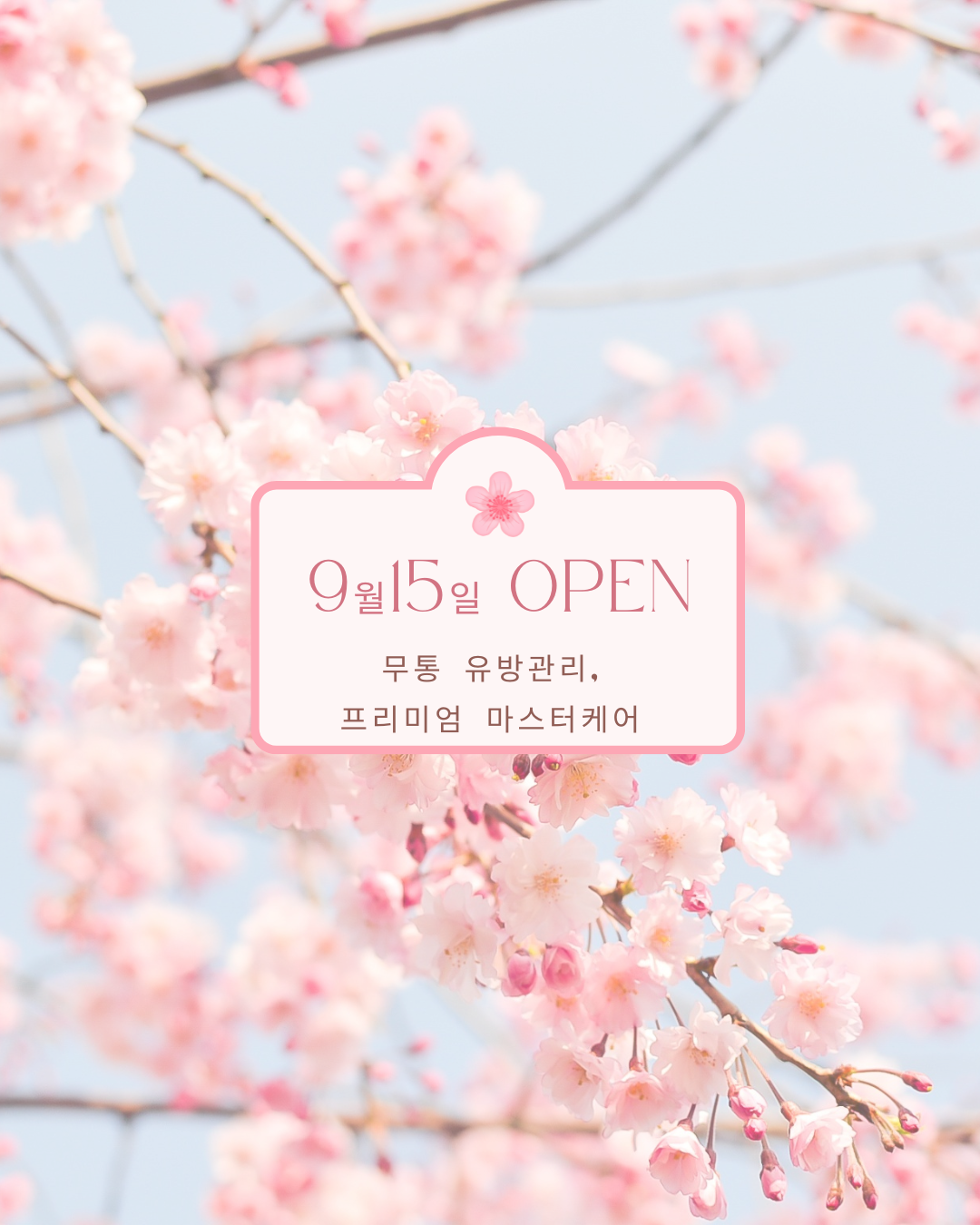 마더 네이처 라라라맘스 photo 4
