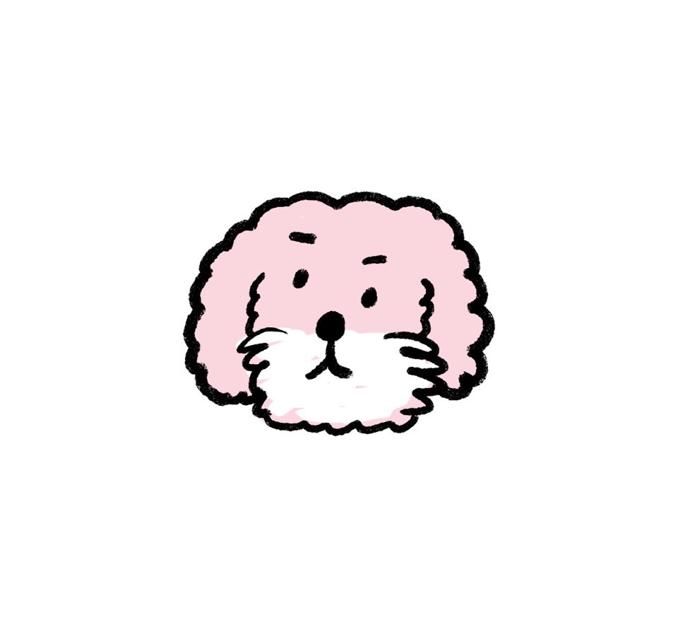 하비애견미용실 대표 이미지