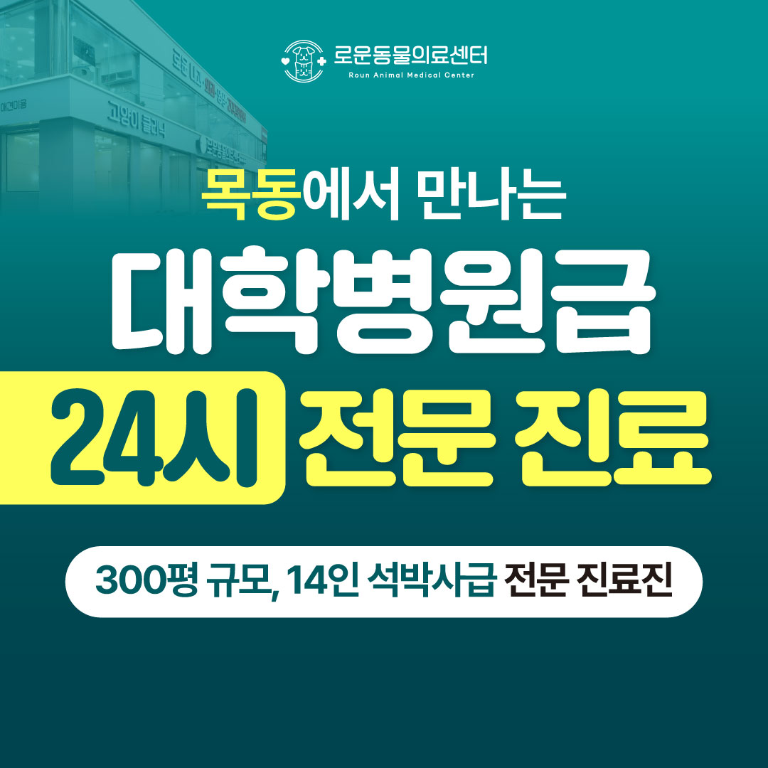 24시 로운동물의료센터
