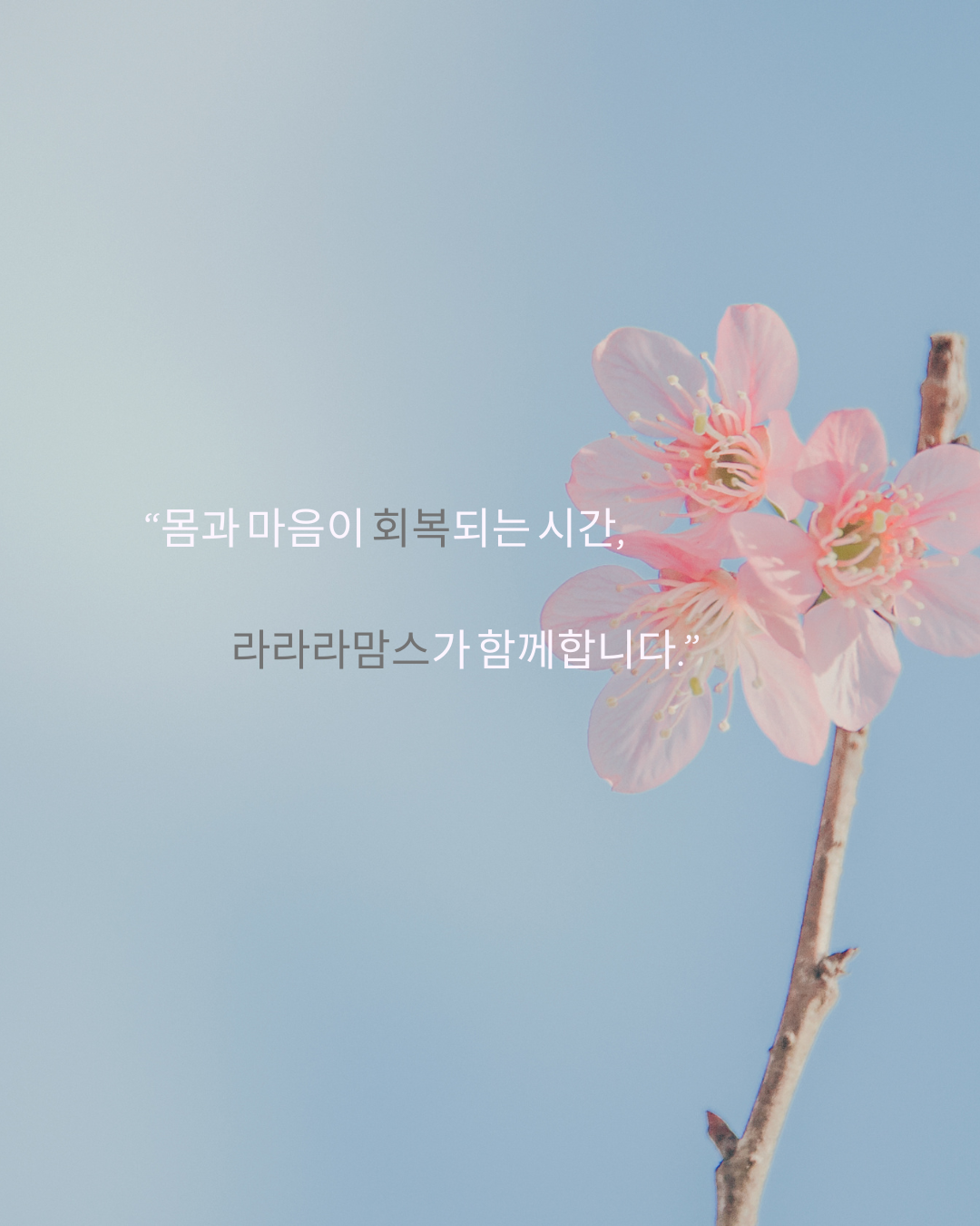 마더 네이처 라라라맘스 photo 6