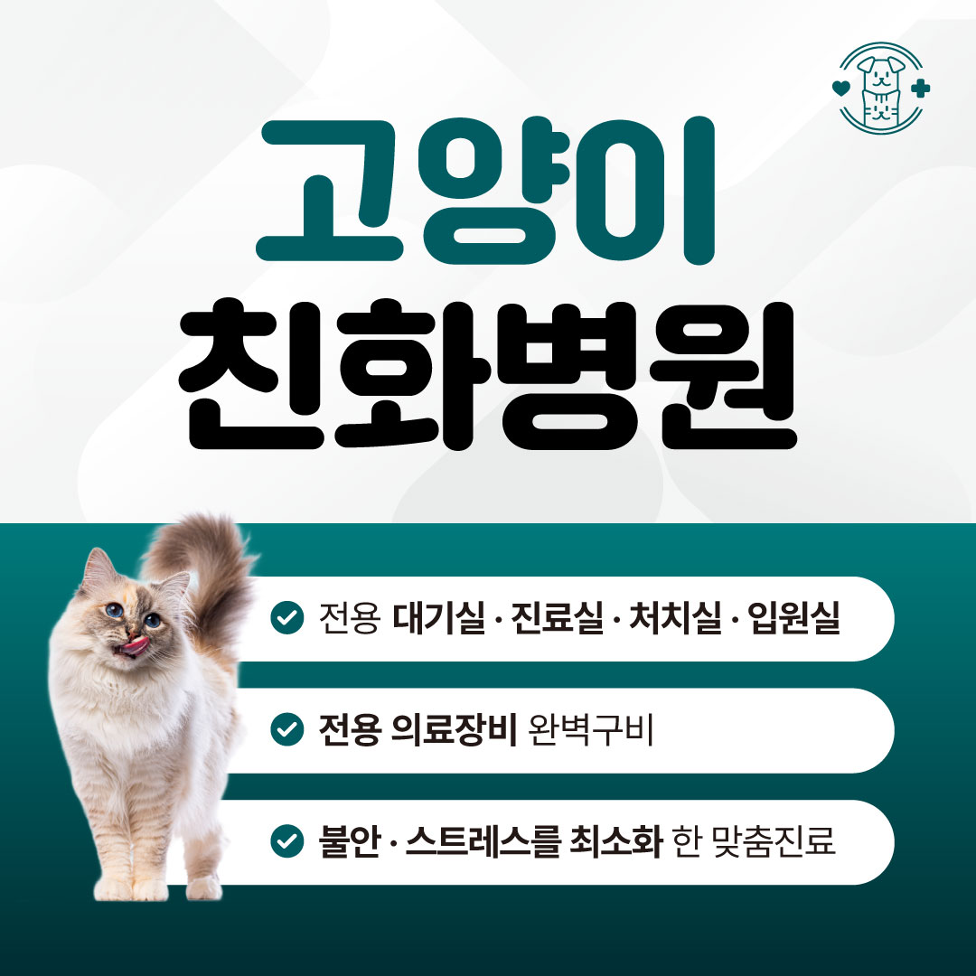 24시 로운동물의료센터 대표 이미지