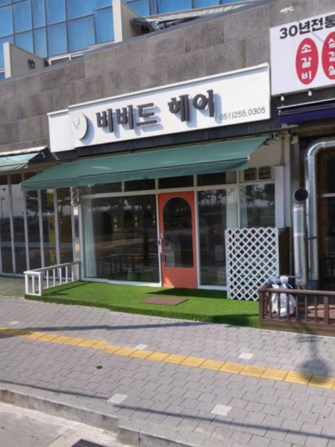 비비드
