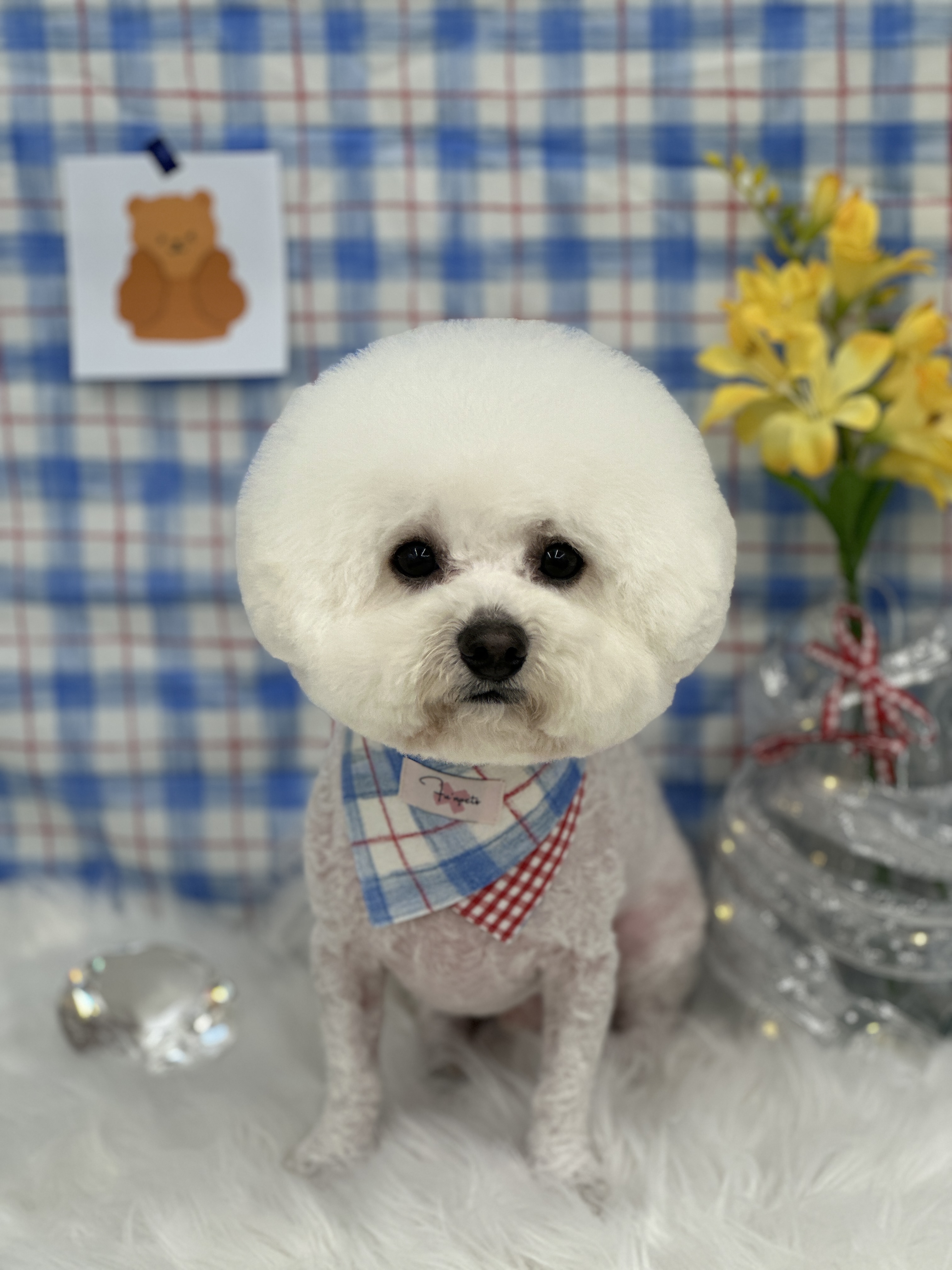 몽개구름 대표 이미지