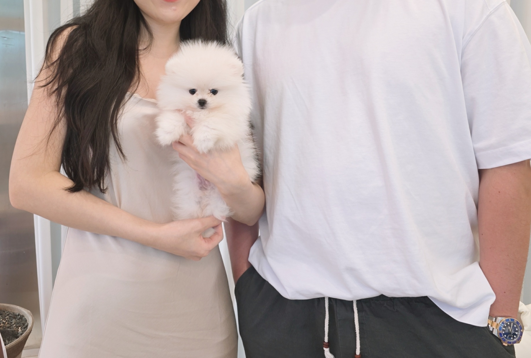 안녕, 강아지 반려동물 동반 애견카페