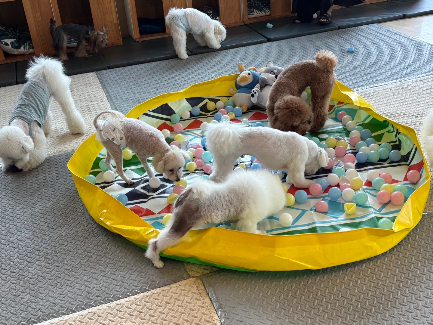 카페소풍 대표 이미지