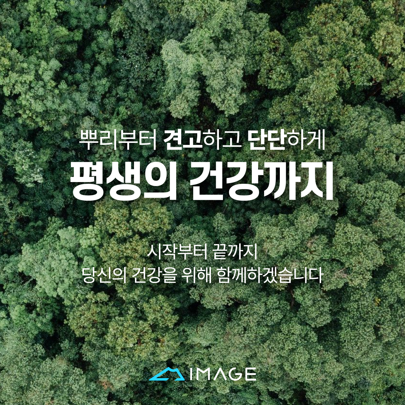 이미지치과의원 대표 이미지