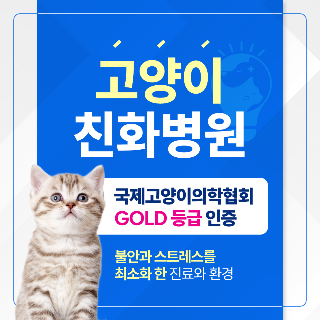 24시 딜라이트 동물의료센터 대표 이미지