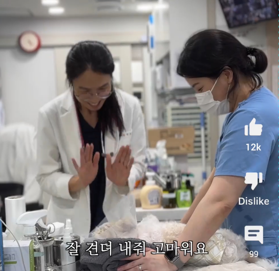 올리브동물병원 대표 이미지