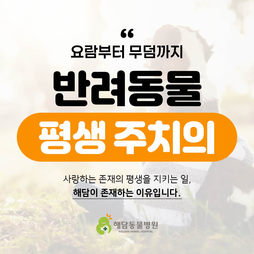 해담동물병원