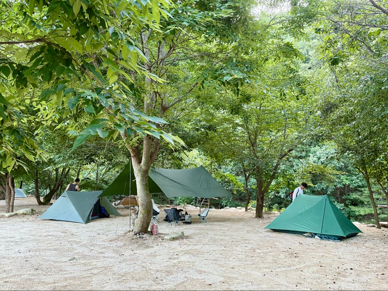 사진 2
