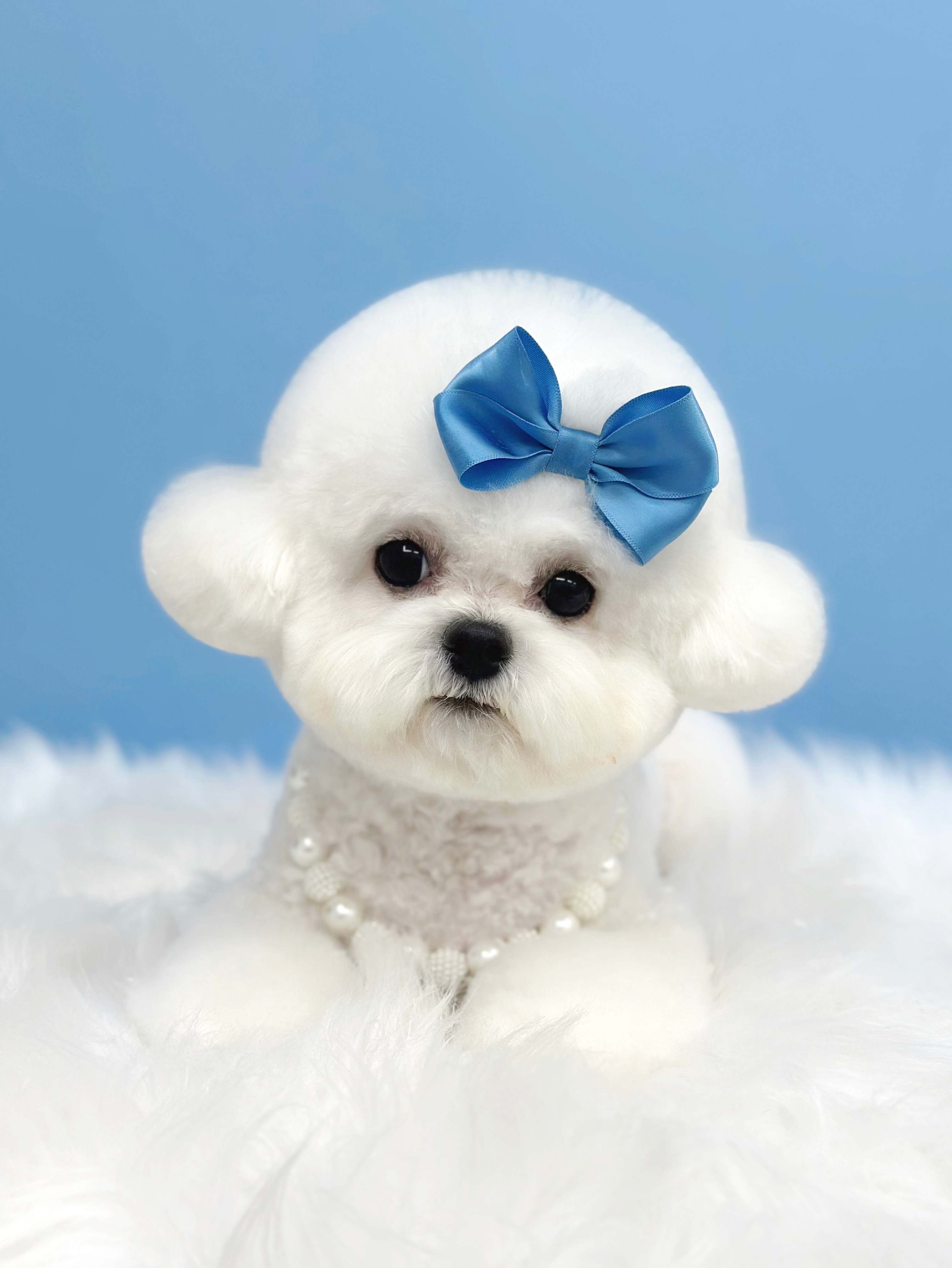 아트댕 대표 이미지