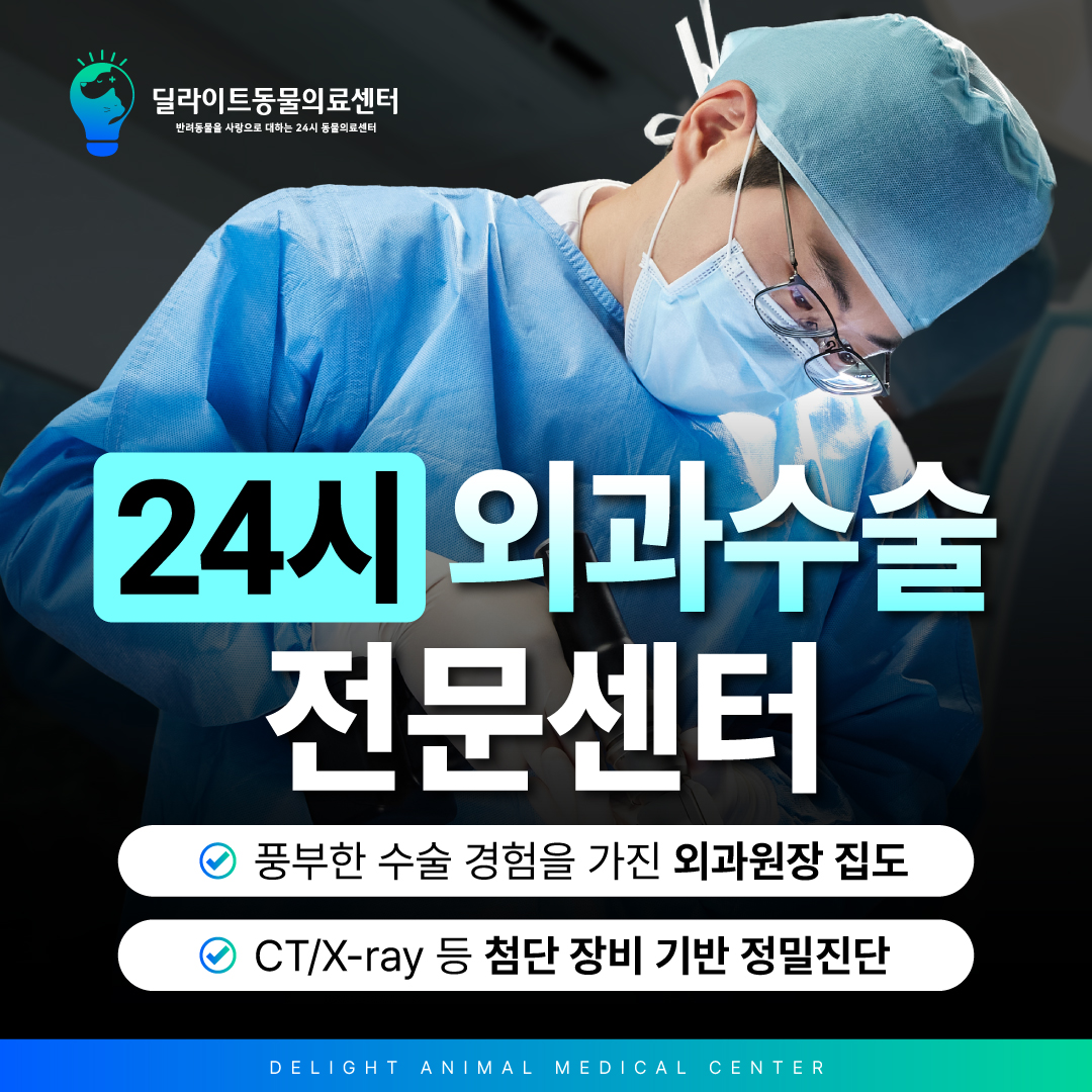 24시 딜라이트 동물의료센터 대표 이미지
