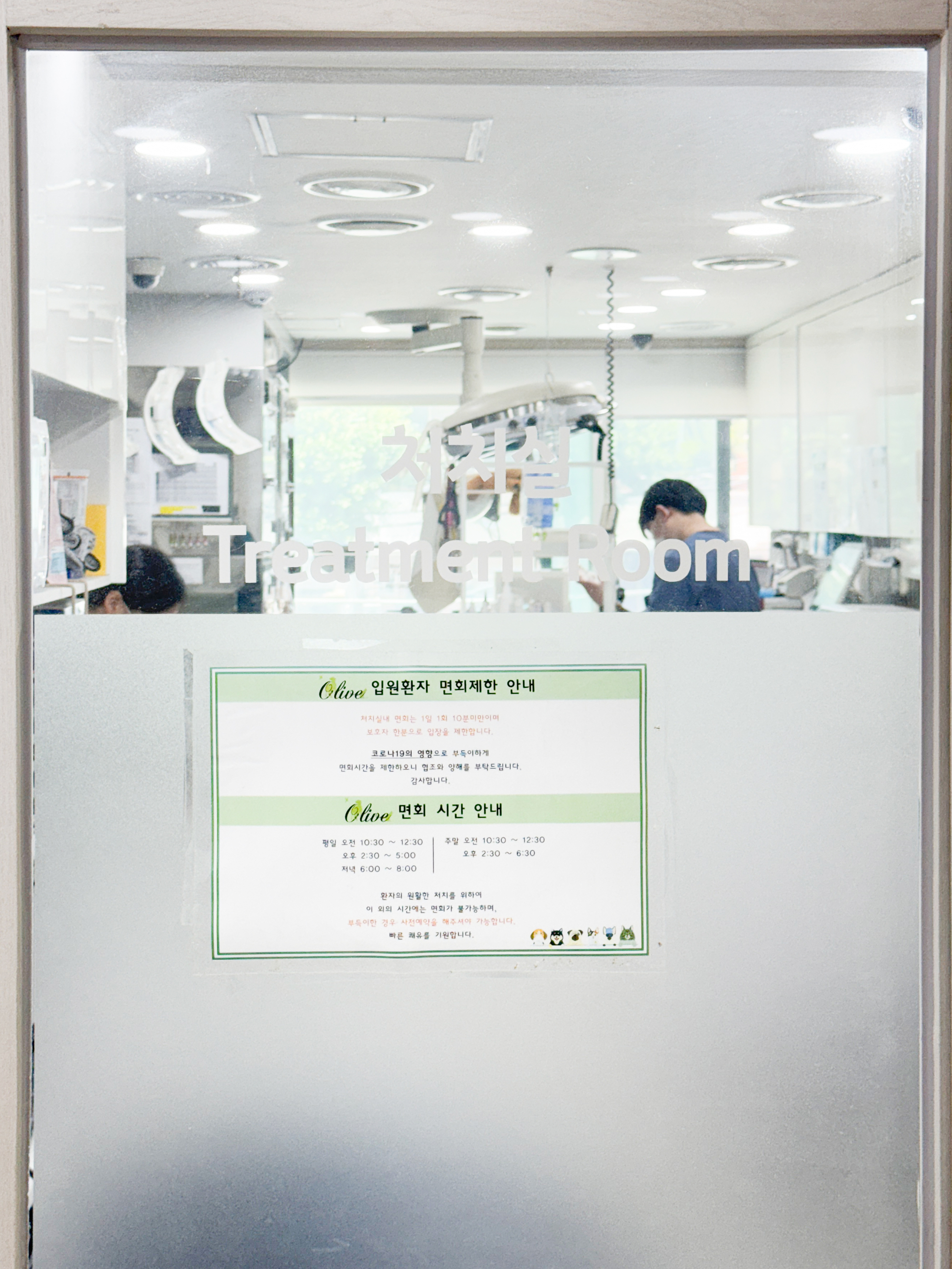 올리브동물병원 대표 이미지