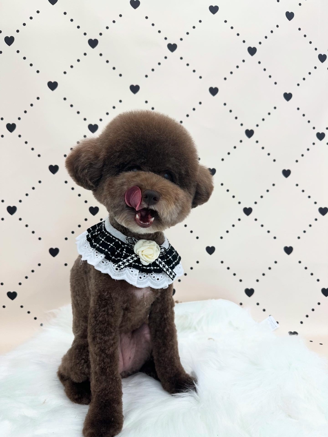 푸카푸카 대표 이미지