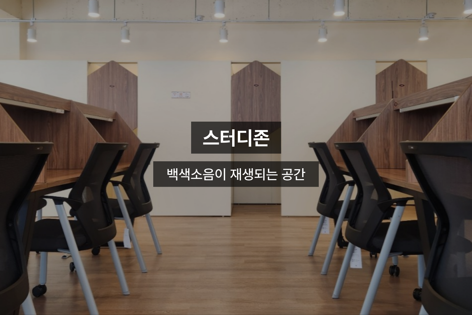 업체사진