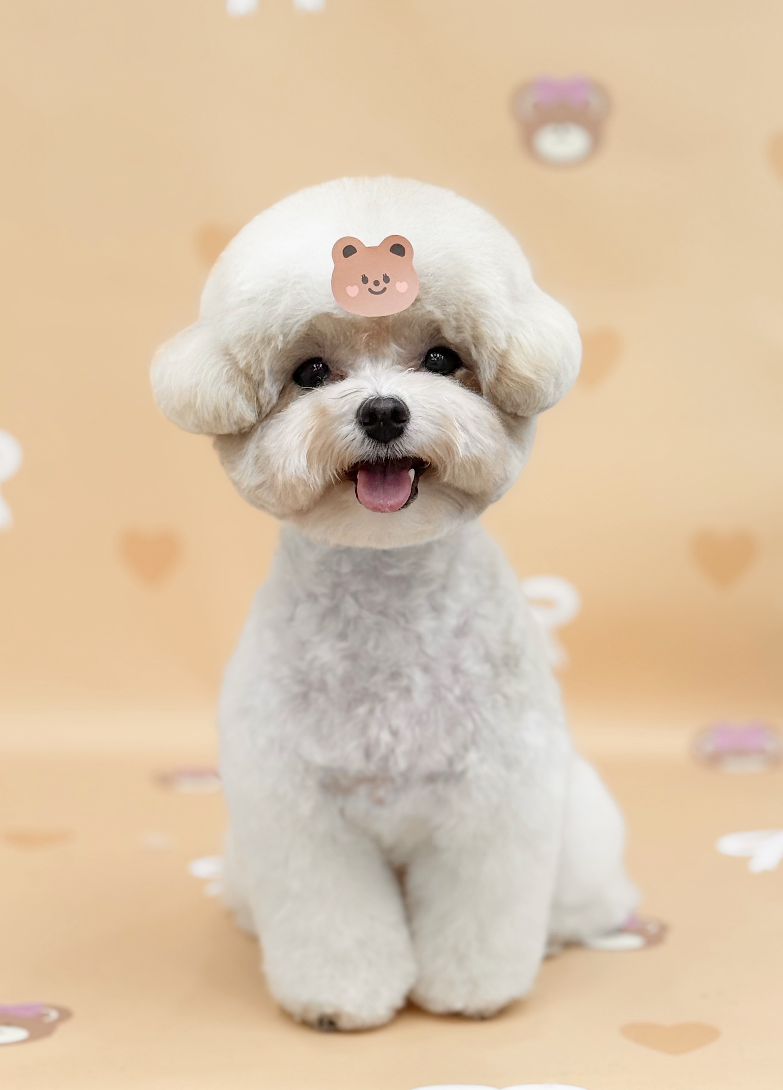 멍키즈 대표 이미지