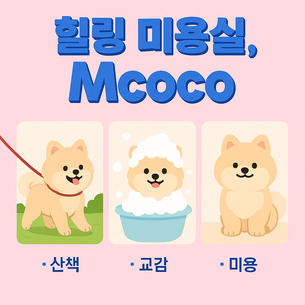 엠코코 대표 이미지