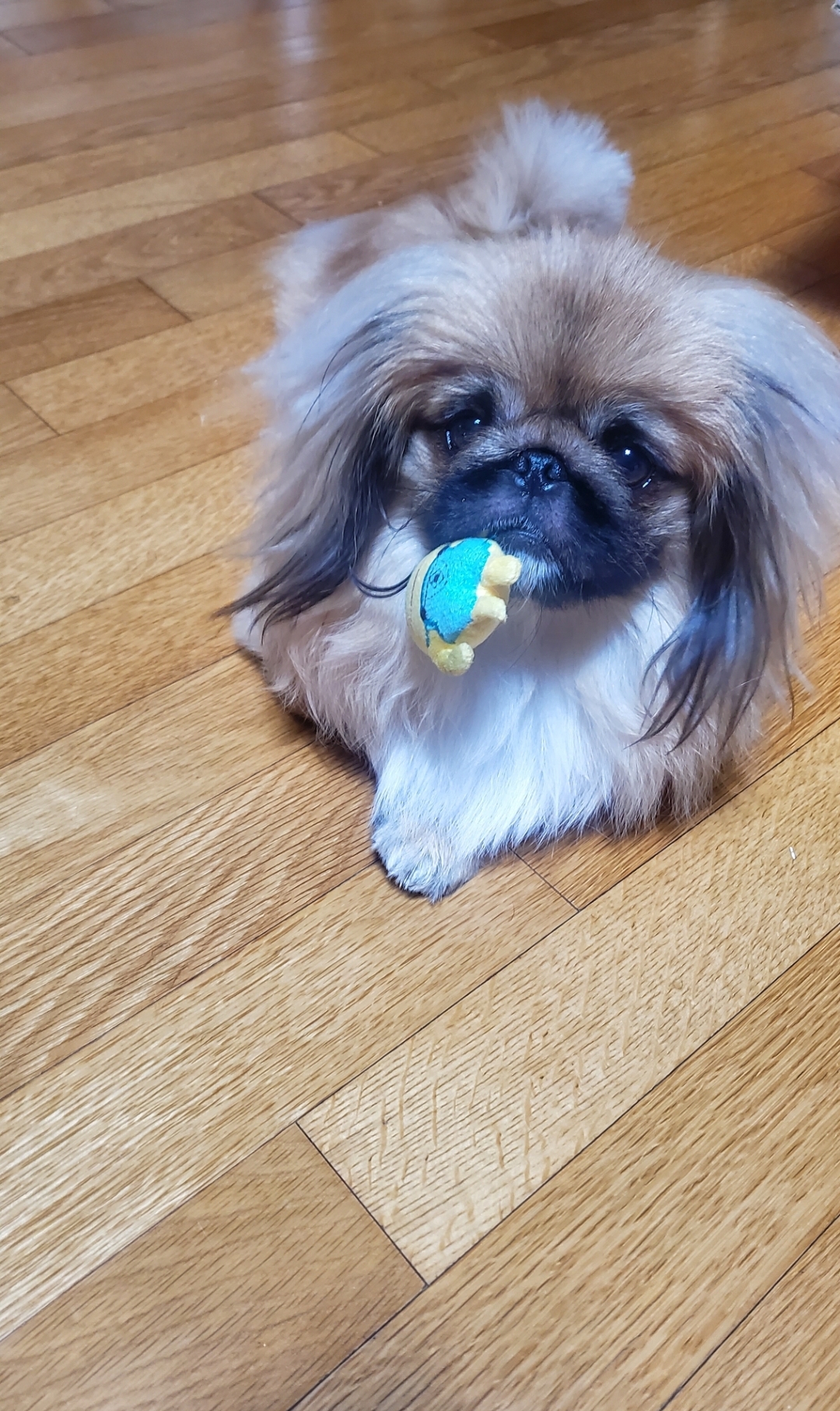 술독 대표 이미지