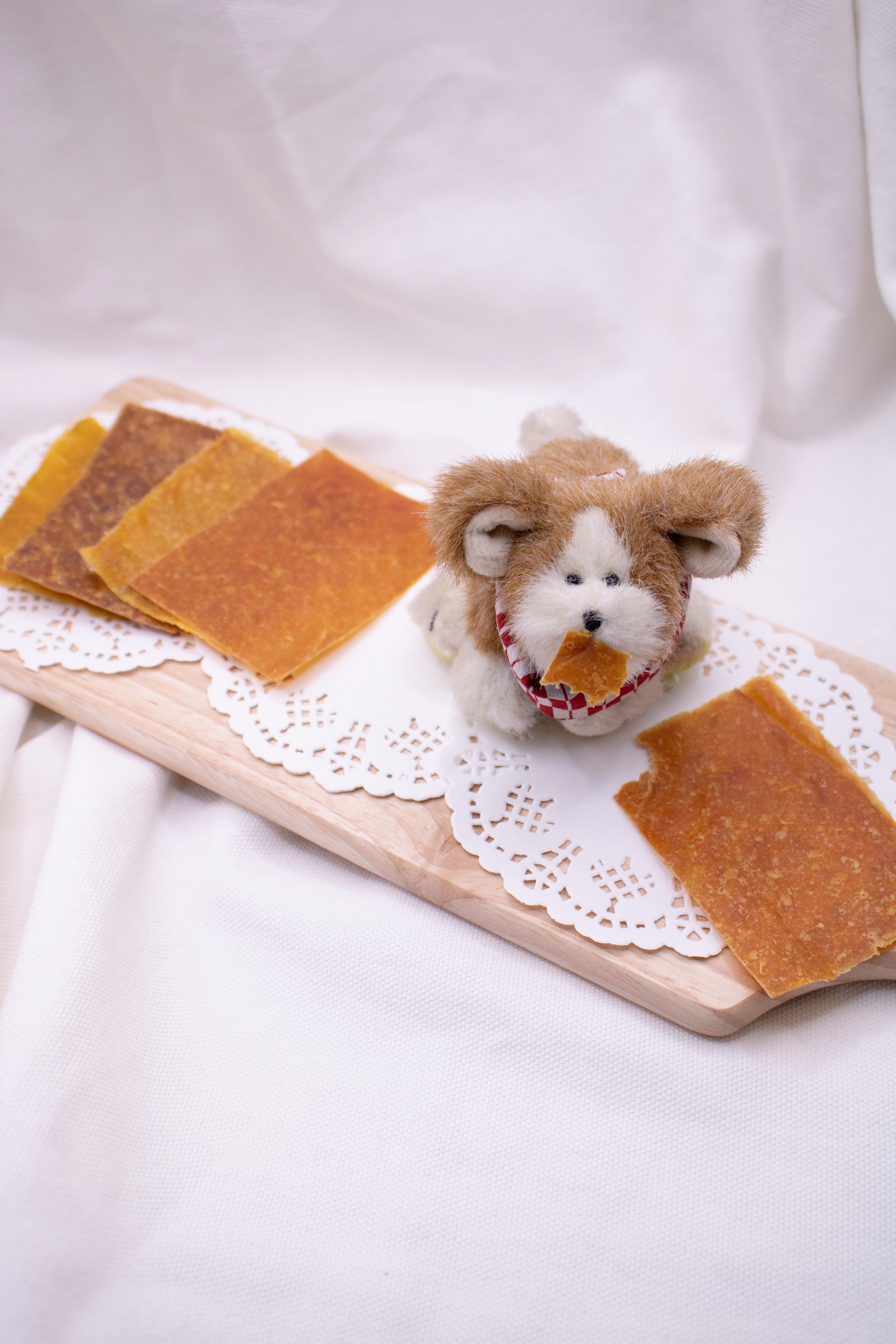 체이스독 대표 이미지