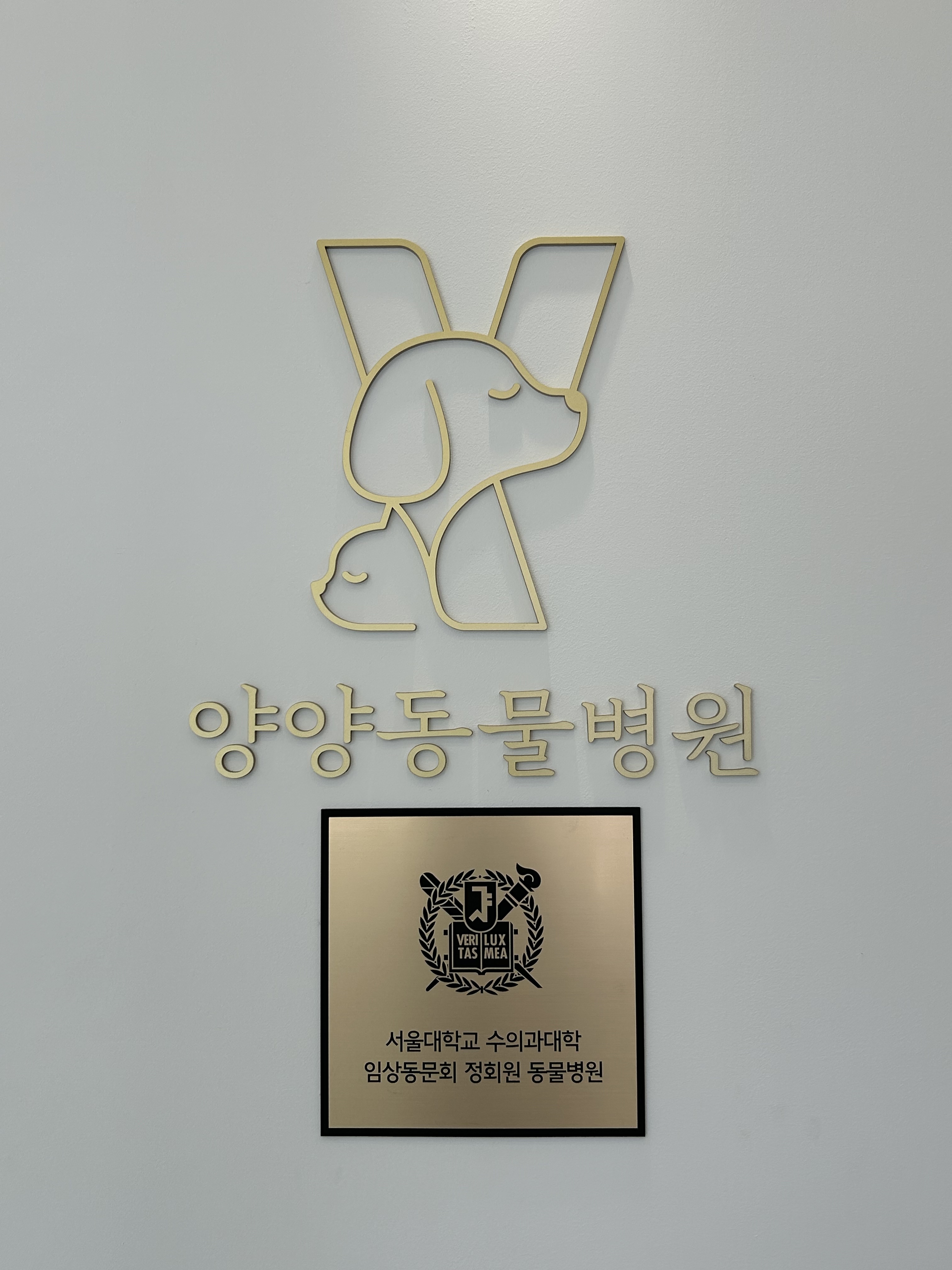 양양동물병원 대표 이미지