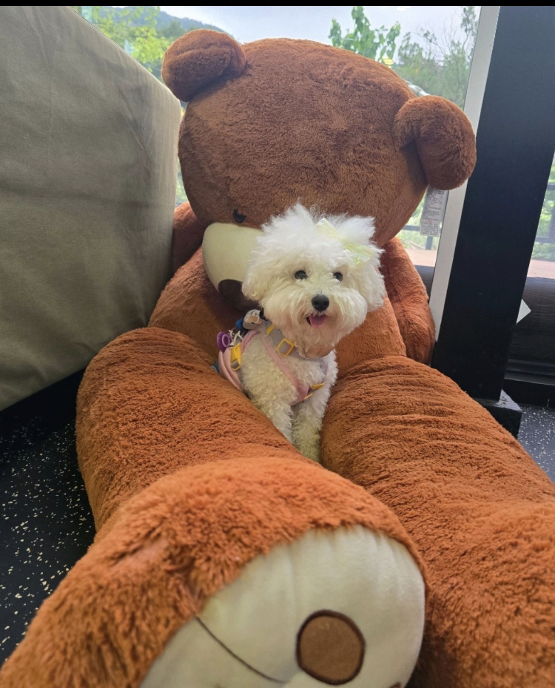 명장시대 고양점