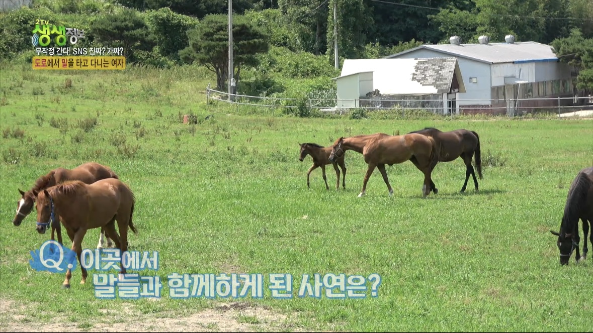 와일드필드커피 대표 이미지