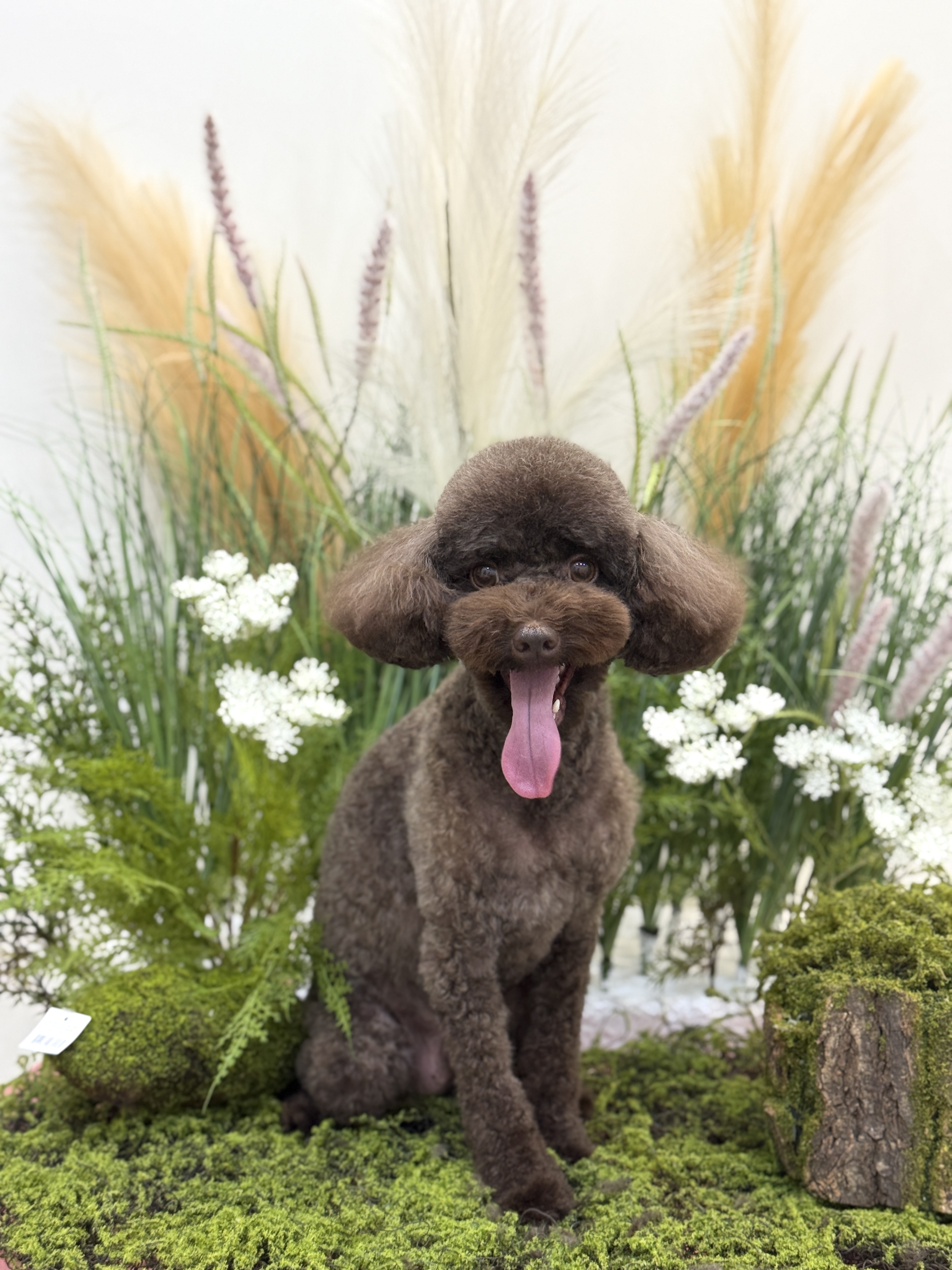 베베리앙 대표 이미지