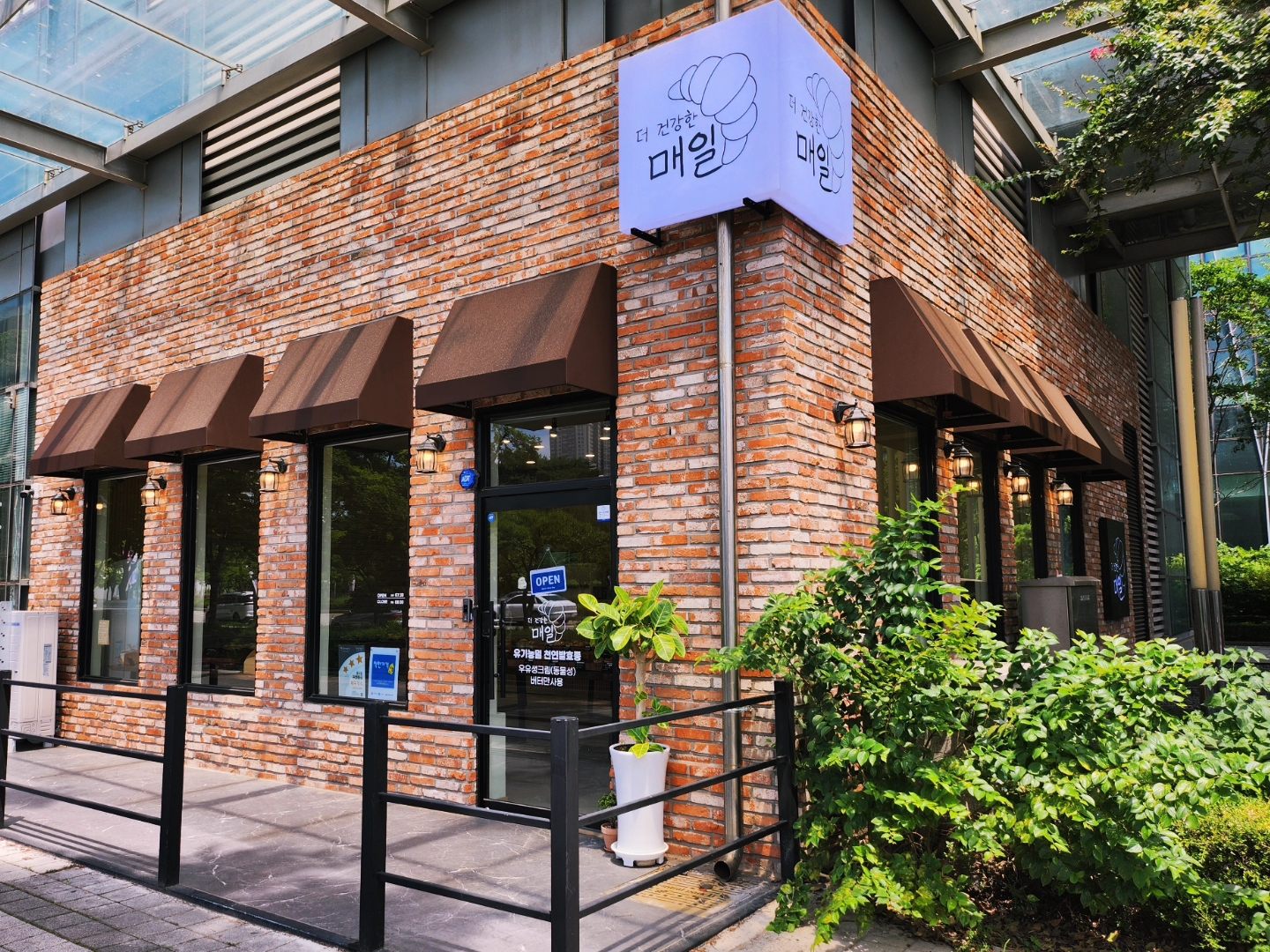 더 건강한 매일