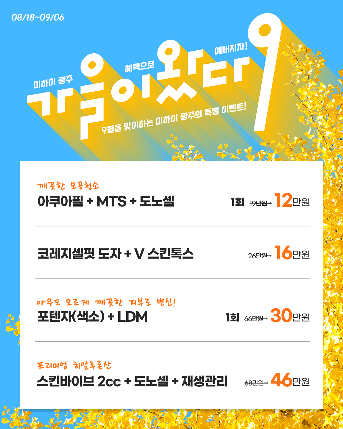 미하이의원 광주