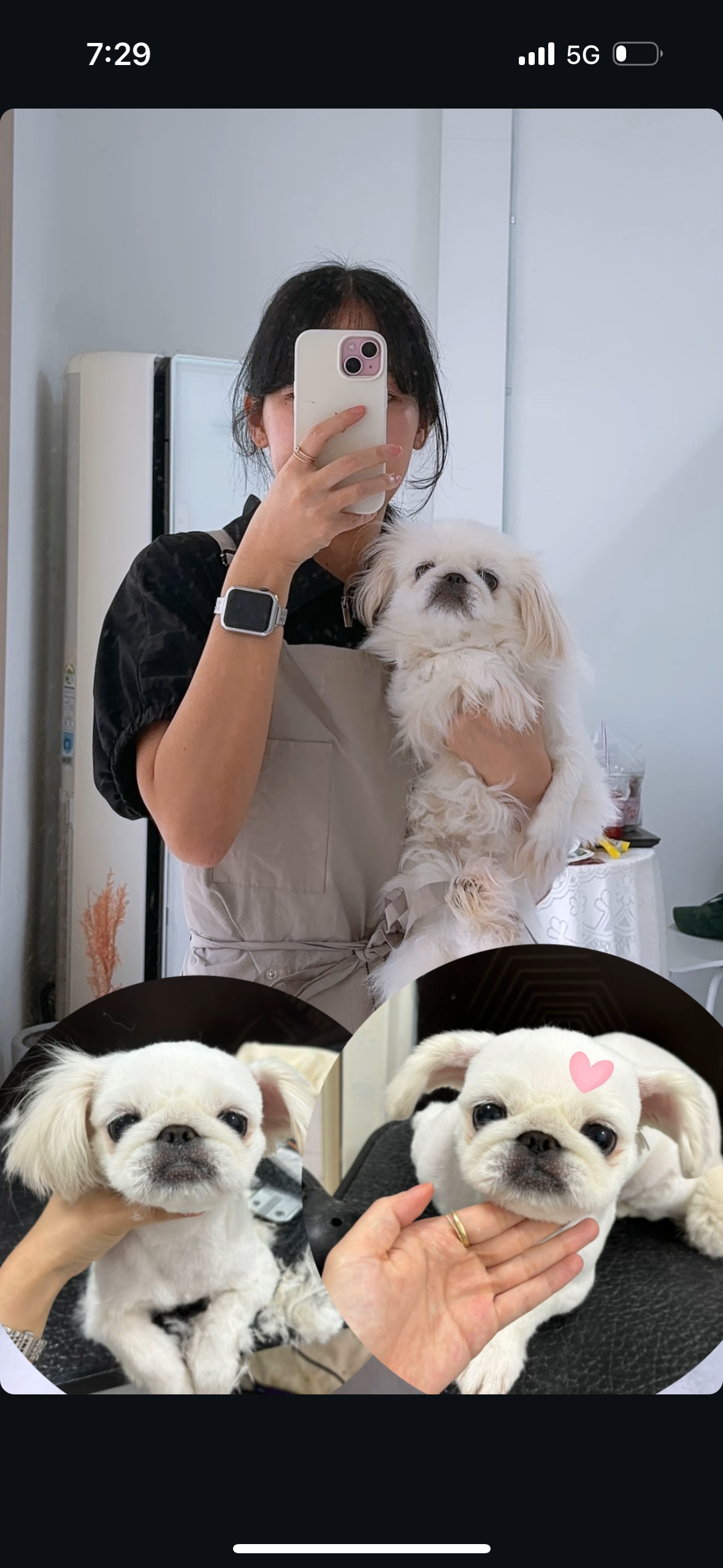 멍포유 대표 이미지