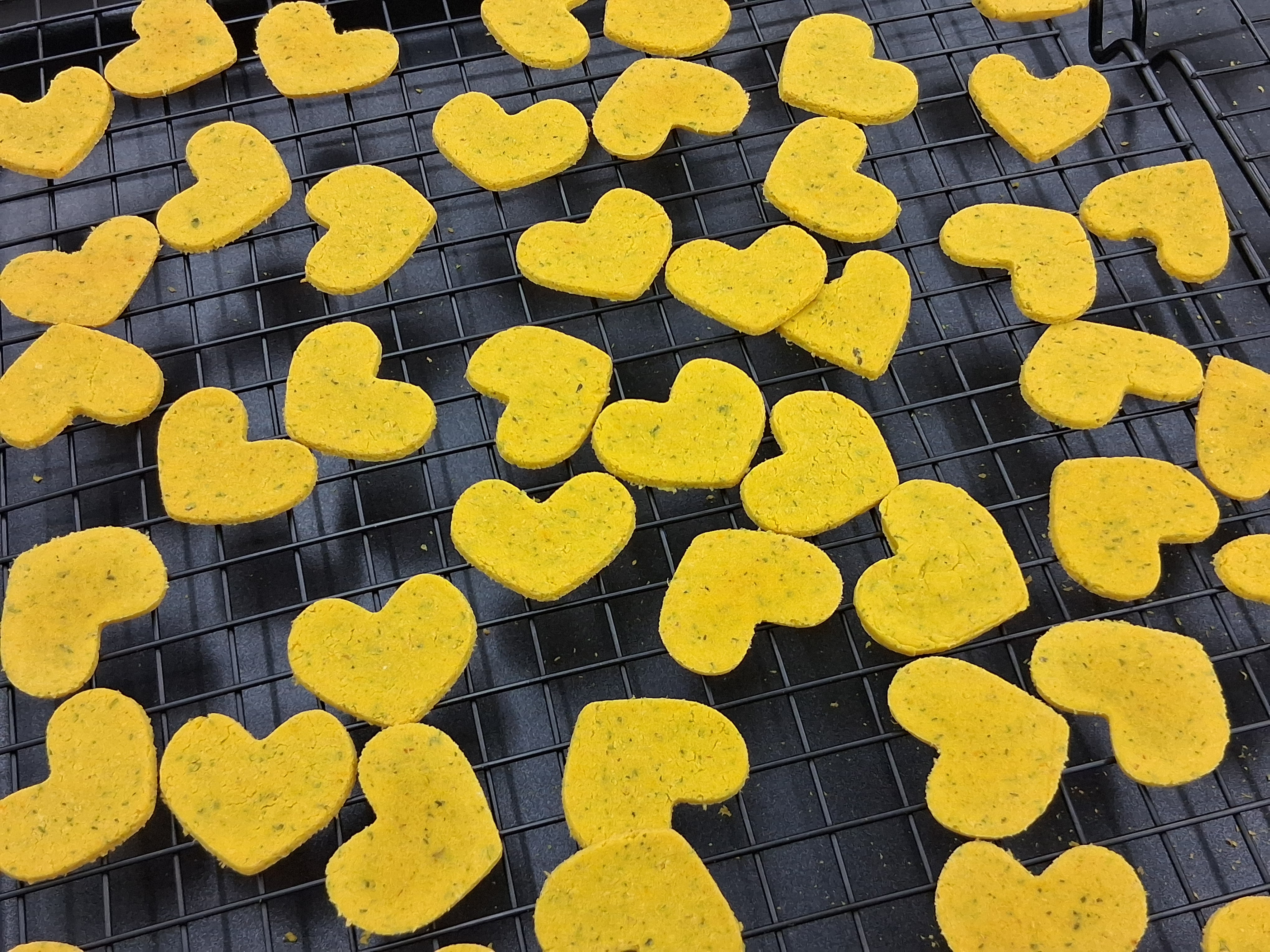 오늘뭐멍 대표 이미지