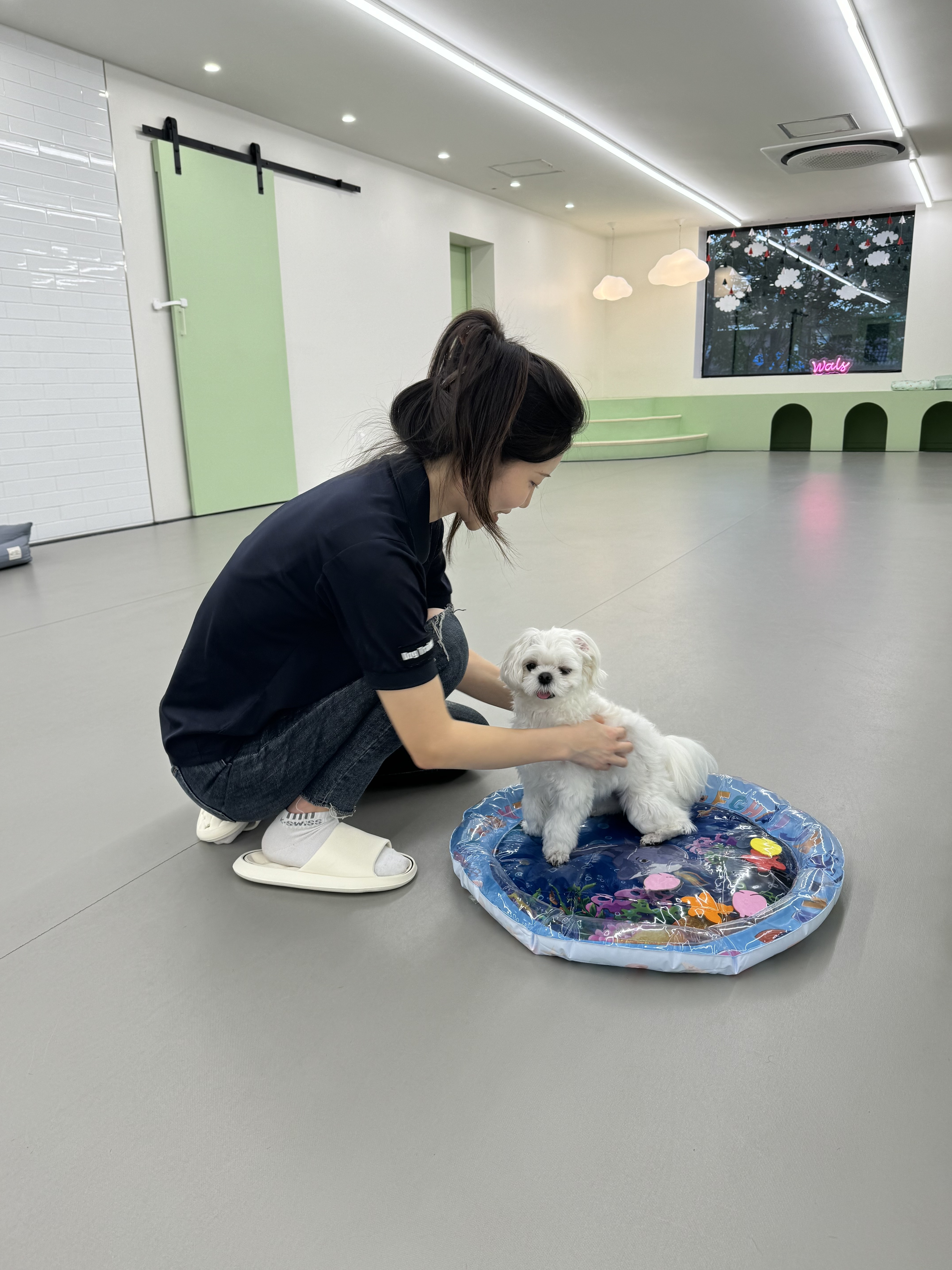애견유치원 왈스 강북점 대표 이미지