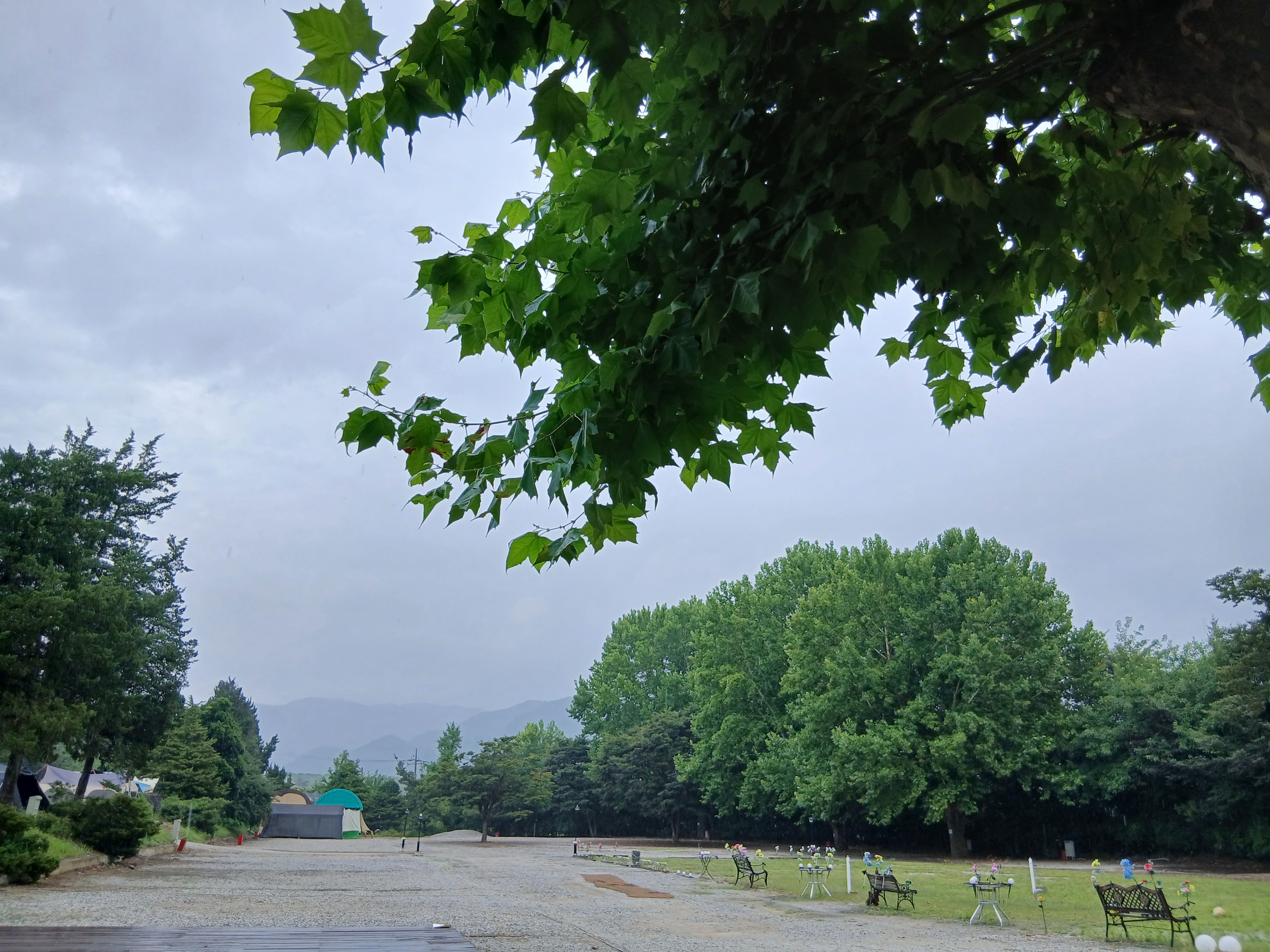 캠핑장 사진
