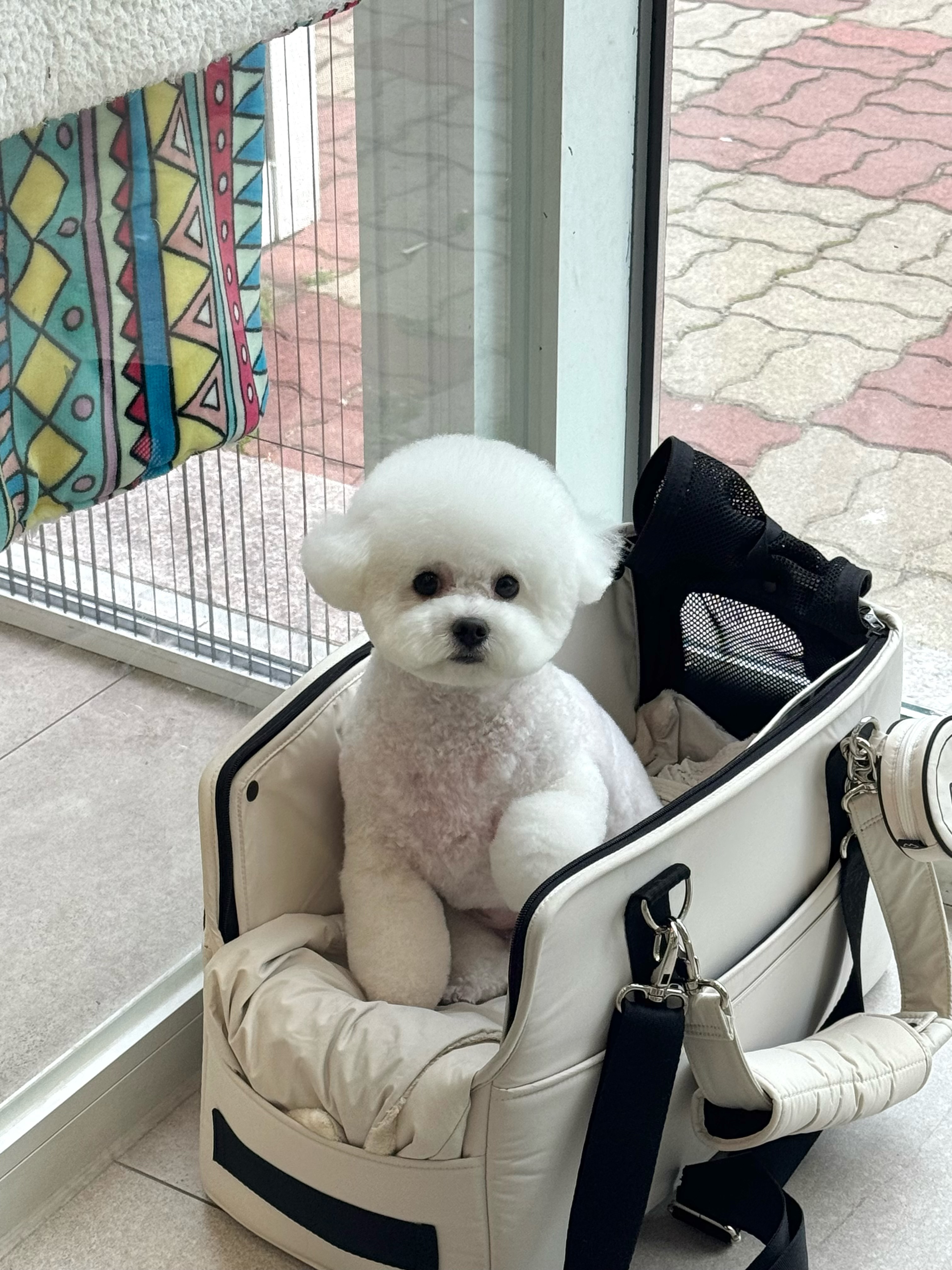 썸머버튼 대표 이미지
