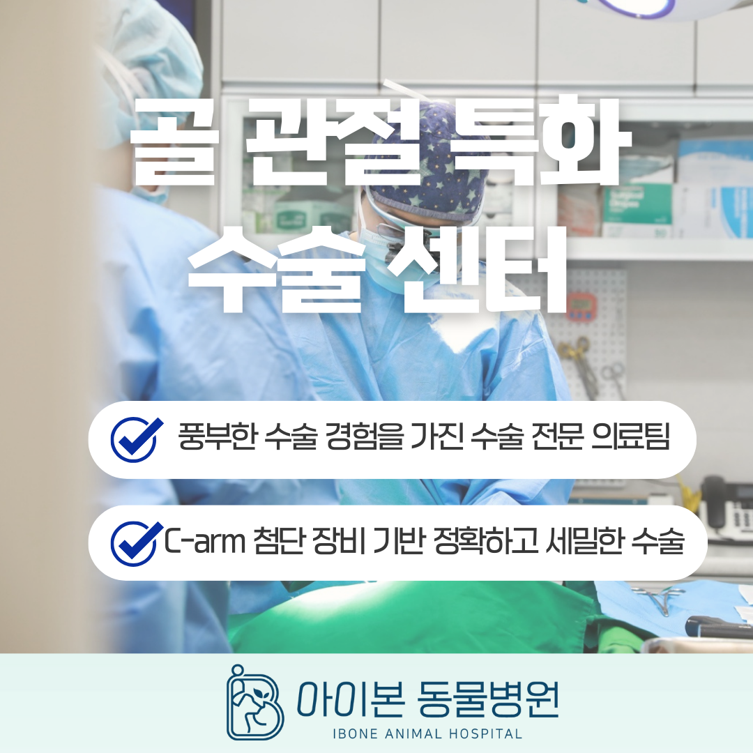 아이본동물병원 대표 이미지