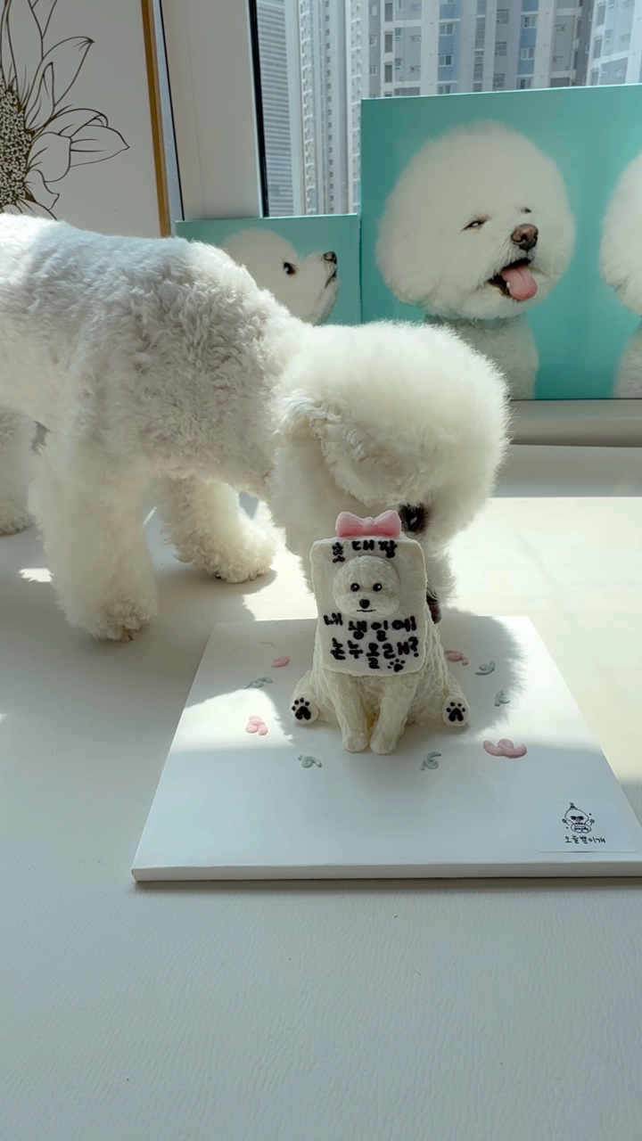 오늘뿐이개 대표 이미지