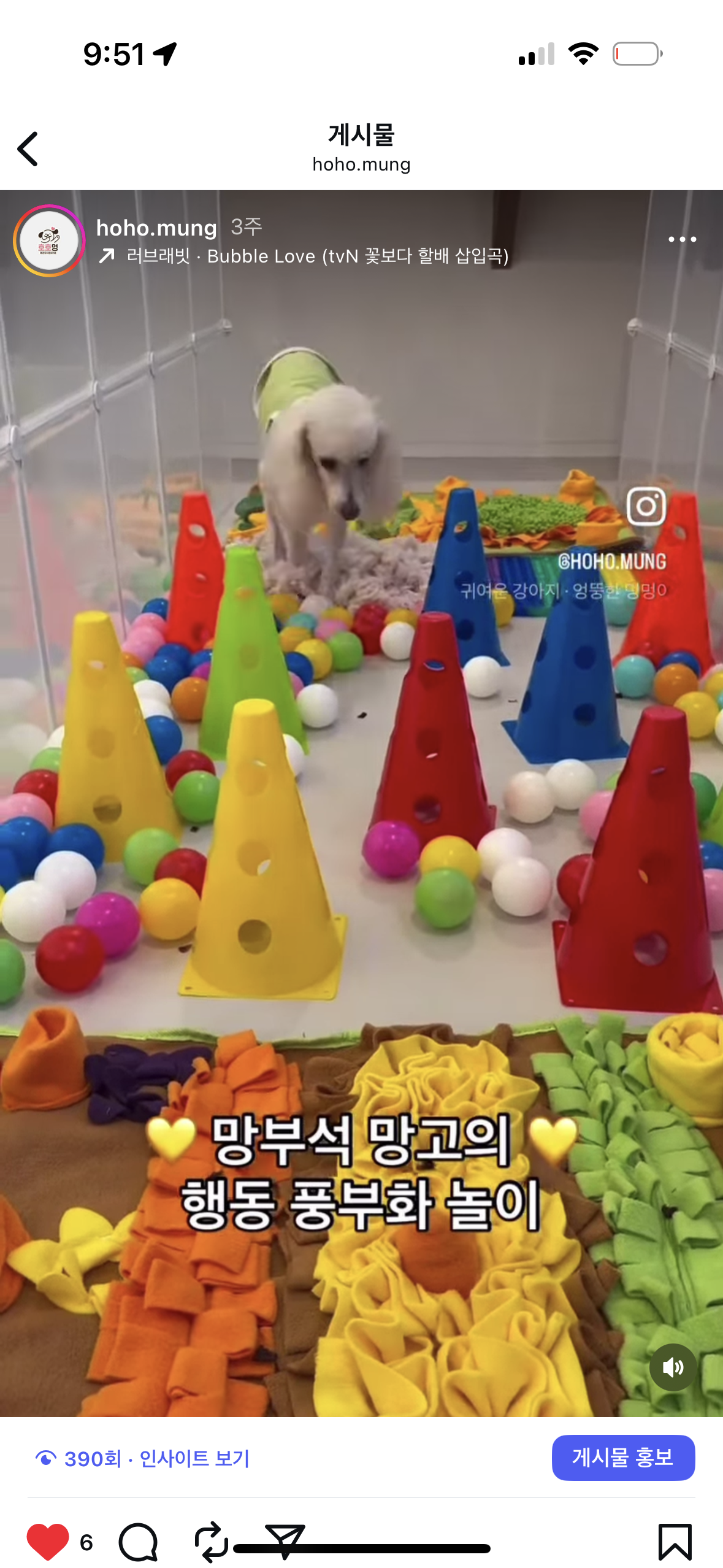 호호멍 대표 이미지