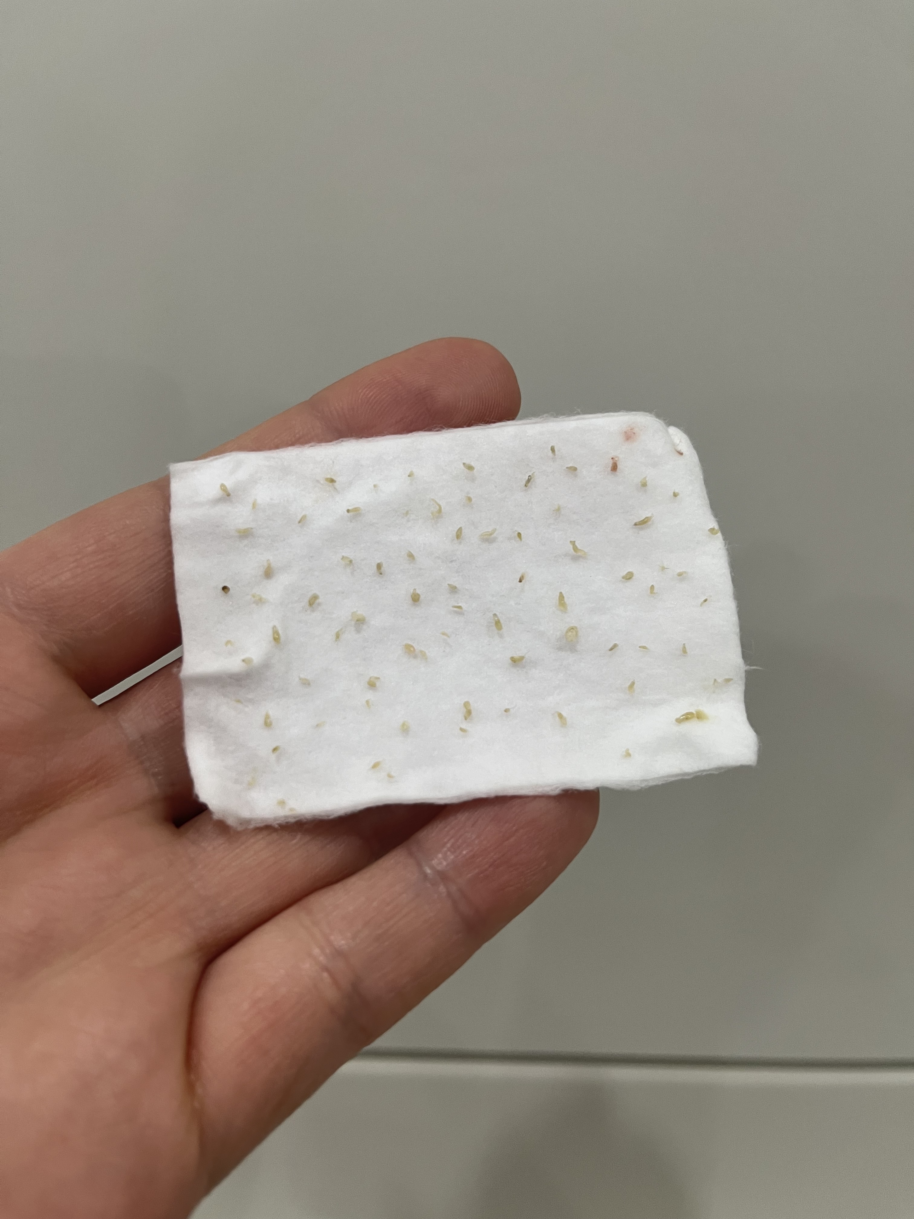 로비엘에스테틱 부천상동 대표 이미지