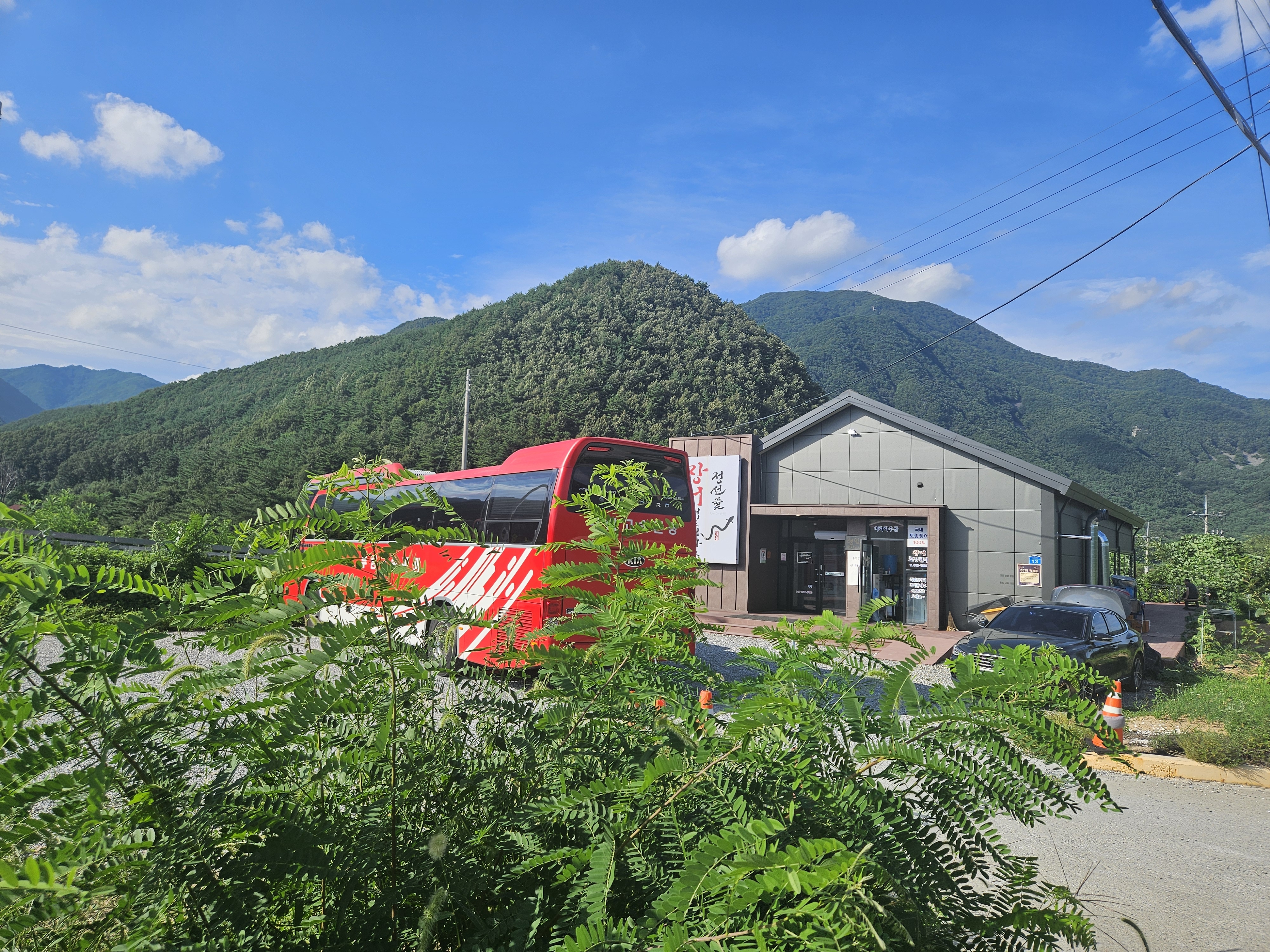 정선애장어 먹으러 와요