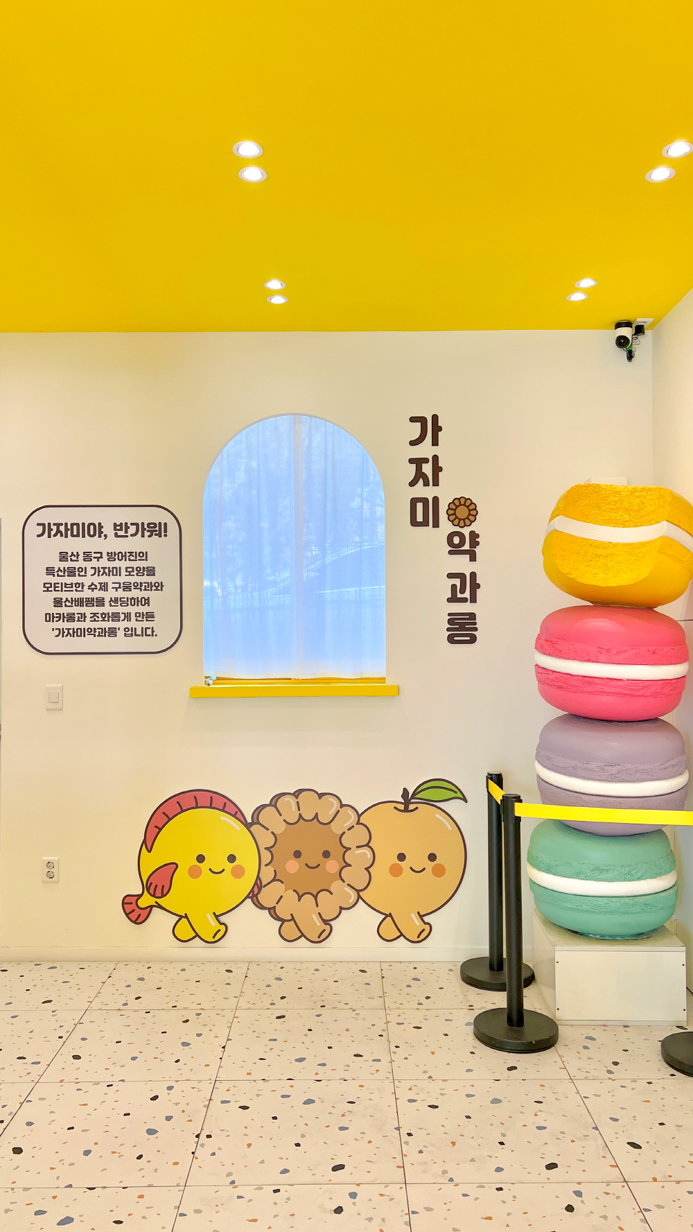 김씨네마카롱공장 사진 5