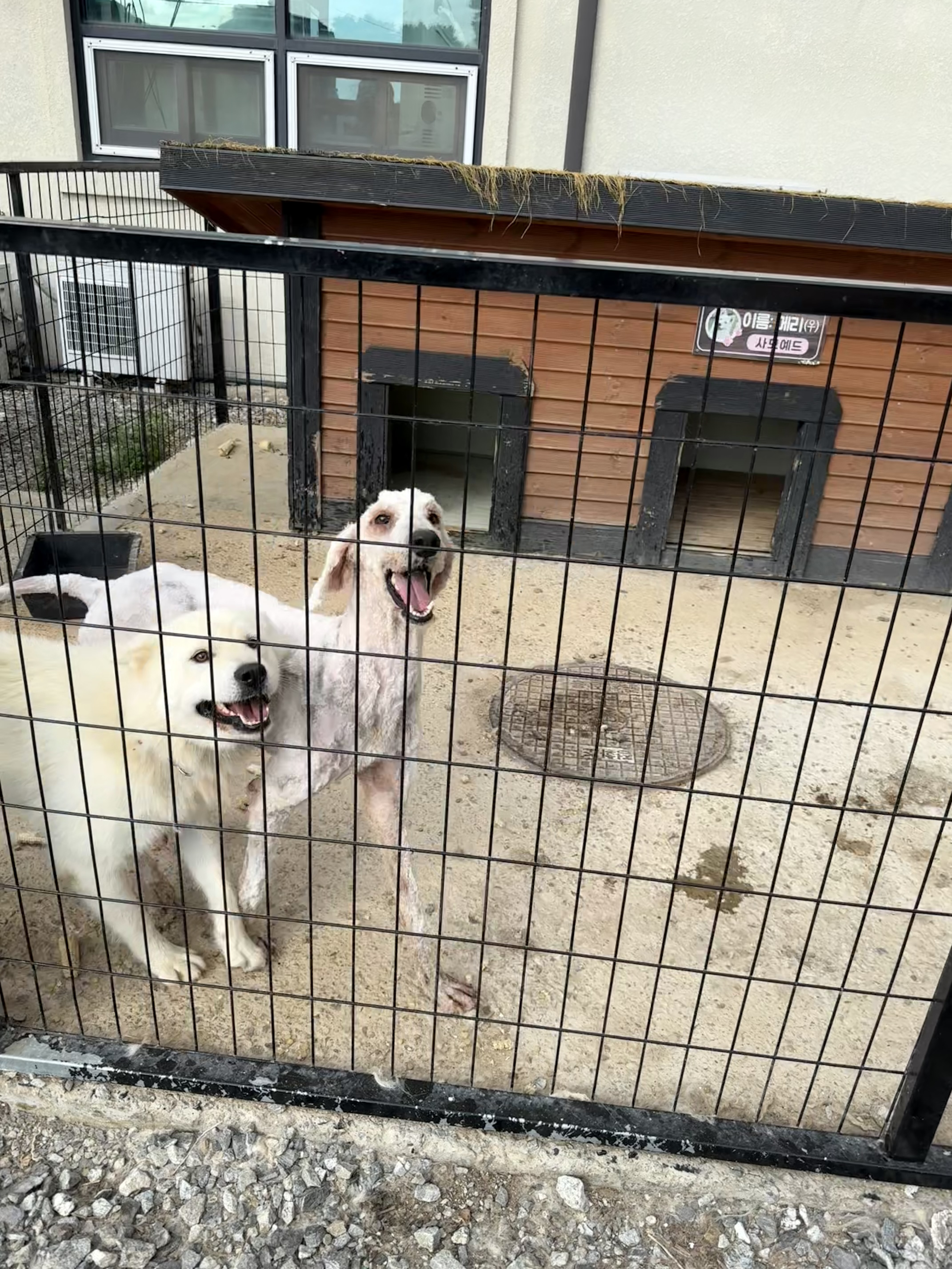 사랑할개 대표 이미지