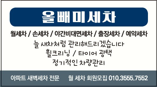 올빼미